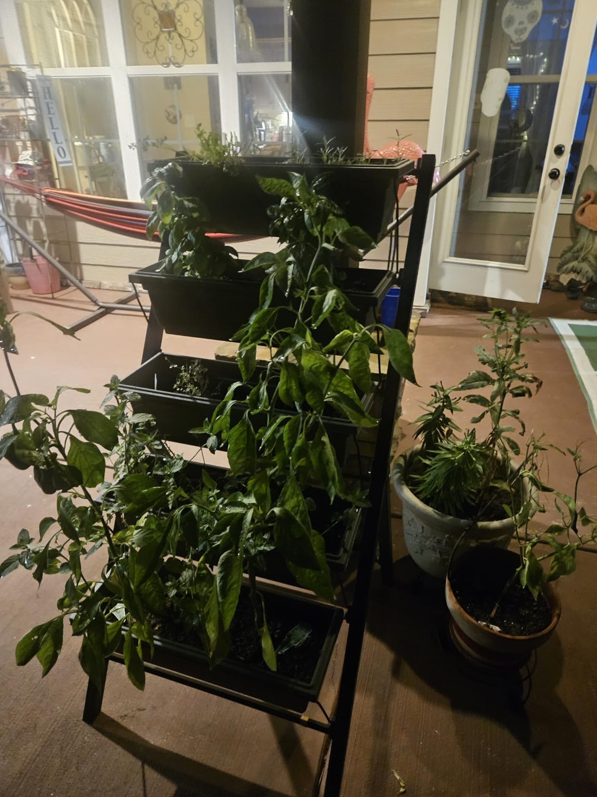 Outland Living 4Ft Vertical Raised Garden Bed - 5 Tier Food Safe Planter Box for Outdoor and Indoor Gardening Perfect to Grow Your Herb Vegetables Flowers on Your Patio Balcony Greenhouse Garden customer photo 1