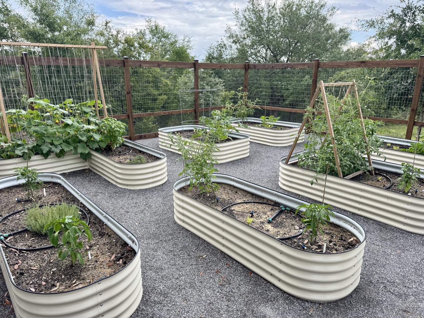 MySoil Soil Test Kit, Unlock Your Lawn & Garden Potential, Complete & Accurate Nutrient and pH Analysis with Recommendations Tailored to Your Soil and Plant Needs customer photo 2