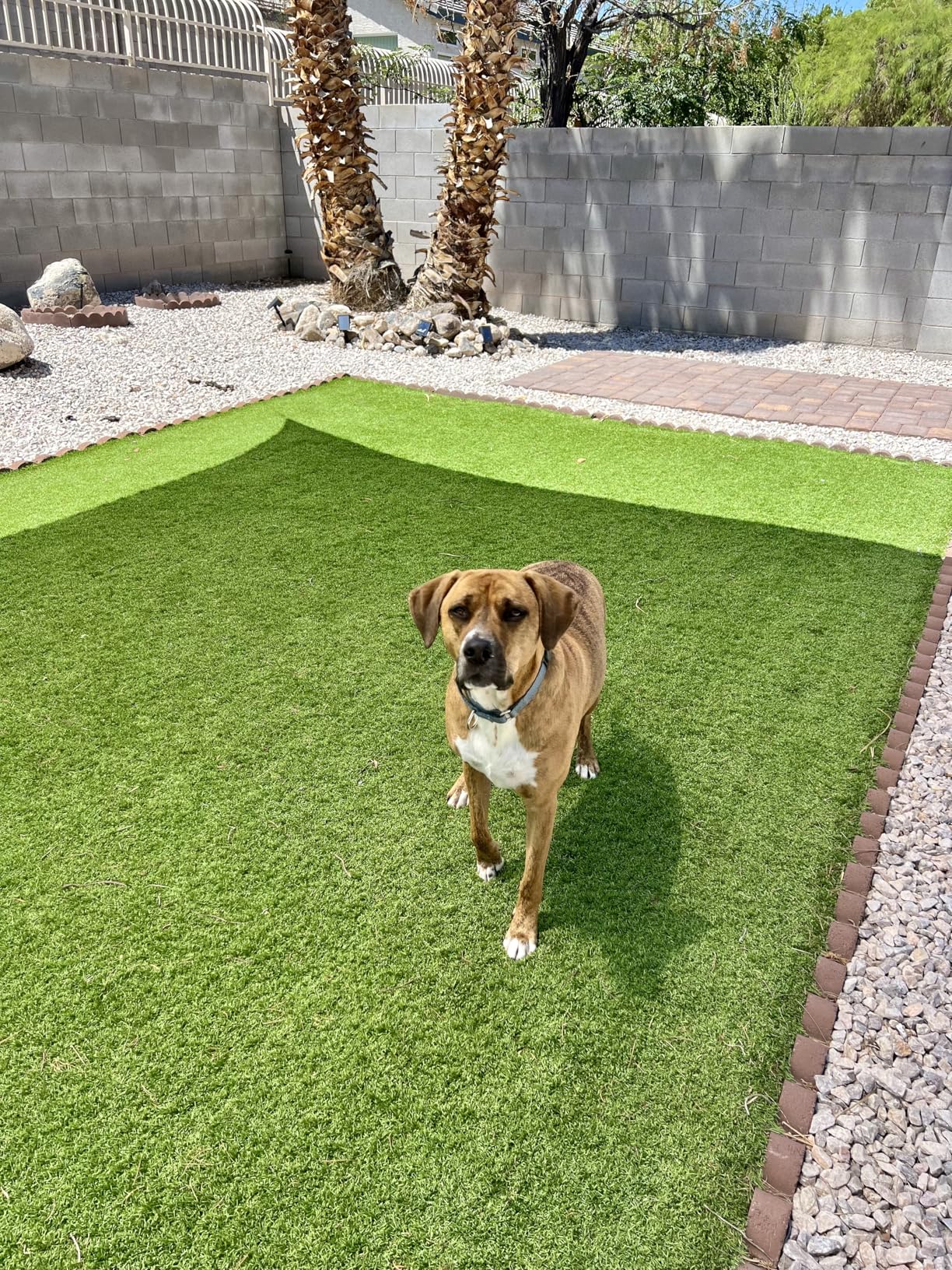 SUNLAX Large Sun Shade Sail 16' x 20' Dark Grey Rectangle Canopy Sail Shade Cover UV Block Permeable Sunshade Outdoor for Patio Backyard (We Make Custom Size) customer photo 1