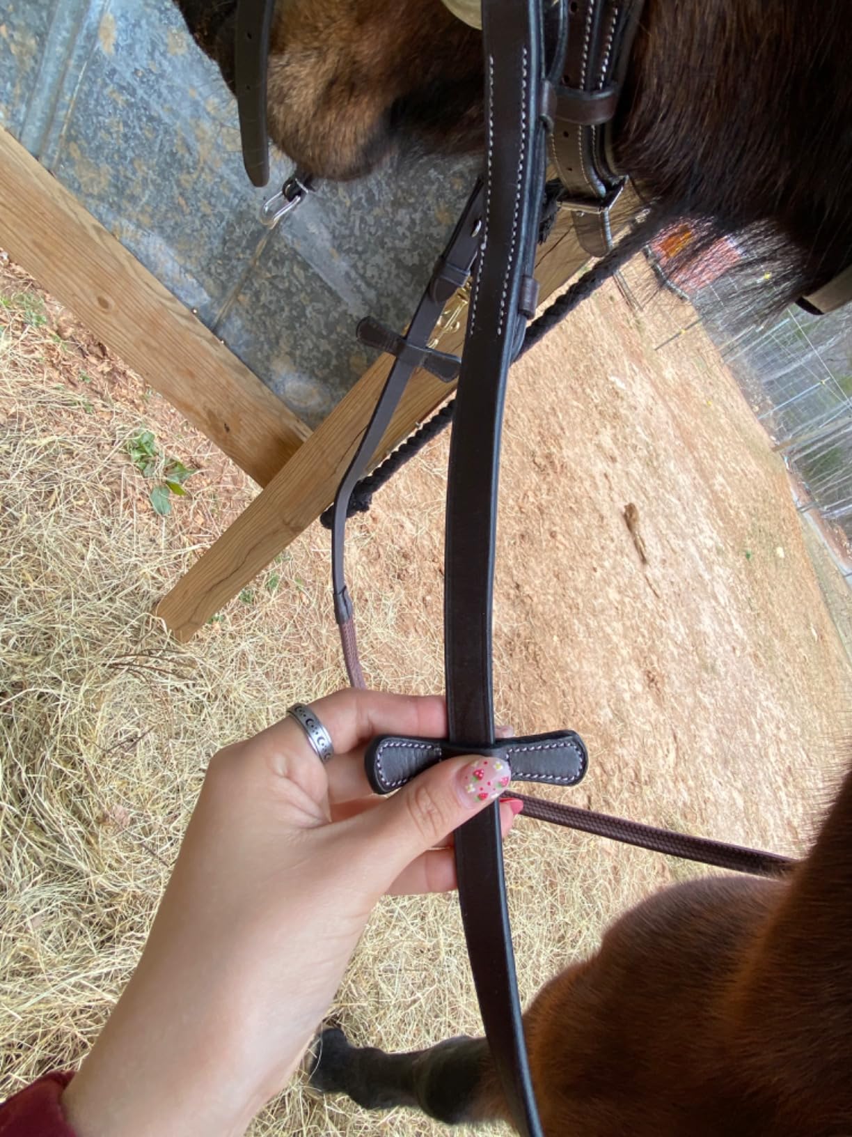 Exion Anatomical Snaffle Jumping Bridle for Horses with Removable Flash Noseband & Rubber Reins customer photo 1