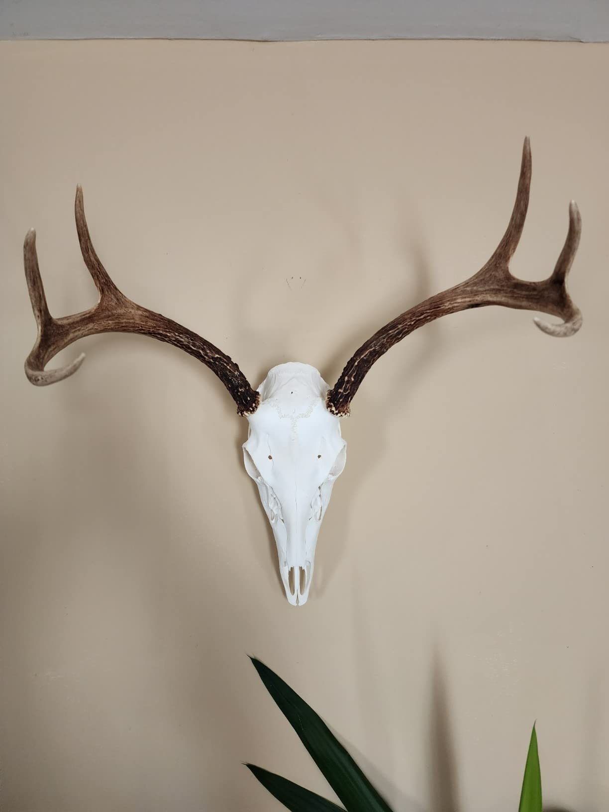 Killer Instinct Boss 405 FPS Crossbow Package with Backpack Case and Broadheads Bundle (3 Items) customer photo 1