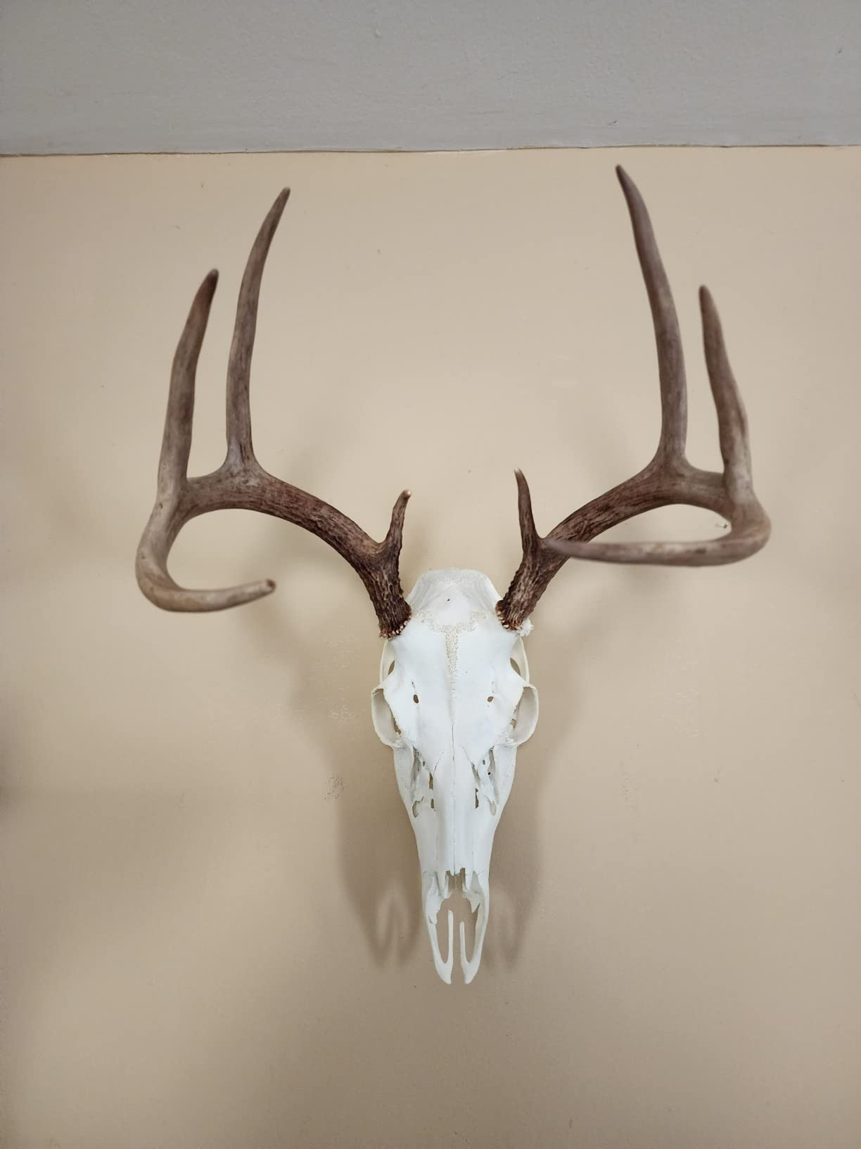 Killer Instinct Boss 405 FPS Crossbow Package with Backpack Case and Broadheads Bundle (3 Items) customer photo 2