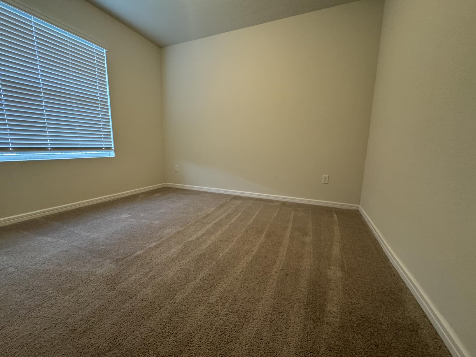 Rug Doctor Mighty Pro X3 Commercial Carpet Cleaner - Large Red Pet Pack, Includes 48 oz. Pet Carpet Cleaner Solution, Commercial Carpet Cleaning Machine, Powerful One Pass Cleaning System customer photo 1