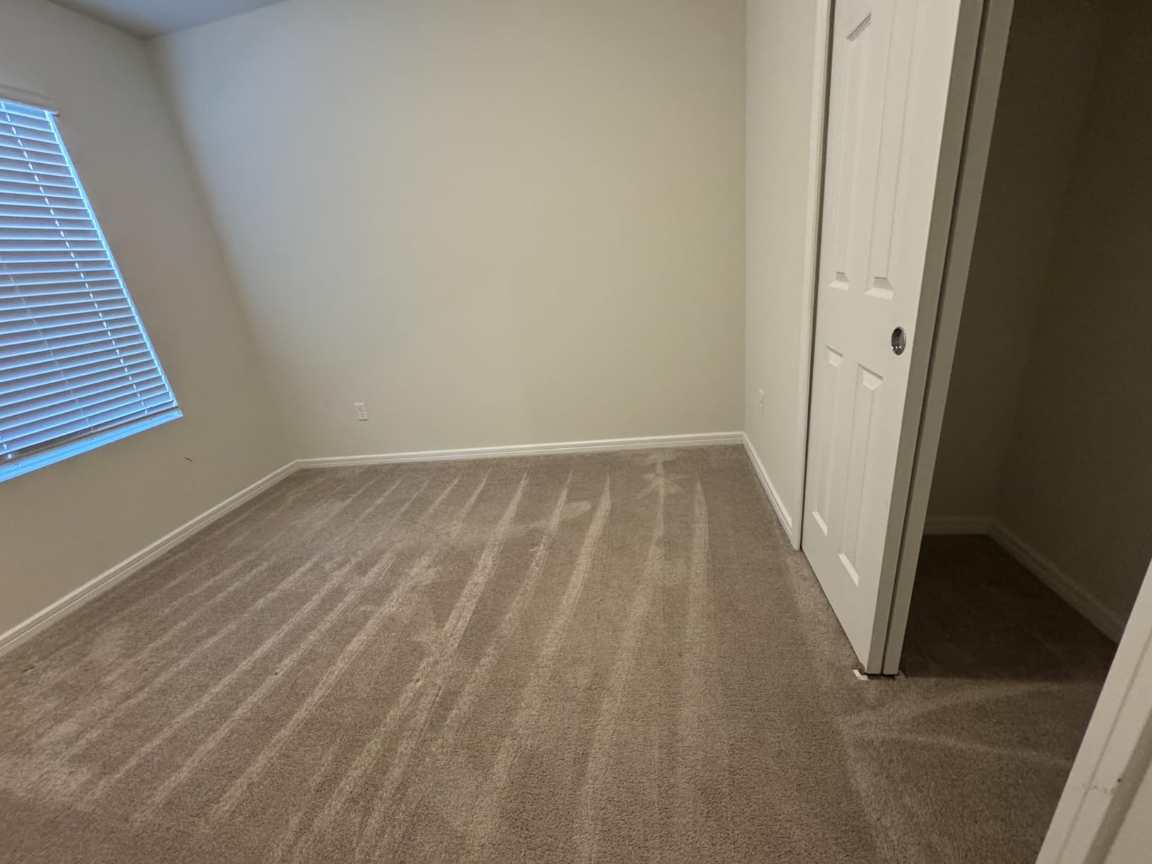 Rug Doctor Mighty Pro X3 Commercial Carpet Cleaner - Large Red Pet Pack, Includes 48 oz. Pet Carpet Cleaner Solution, Commercial Carpet Cleaning Machine, Powerful One Pass Cleaning System customer photo 2