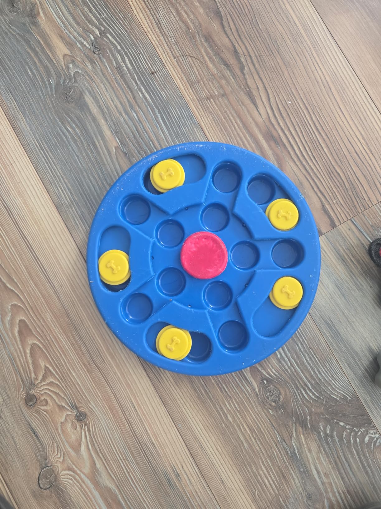 Dog Puzzle Toys, Interactive Dogs Game, Pets Enrichment Toys for Puppy Mentally Stimulating Feeding Dispenser Dog Treat Puzzle Feeder for Small, Medium and Large Dogs Brain Training customer photo 1