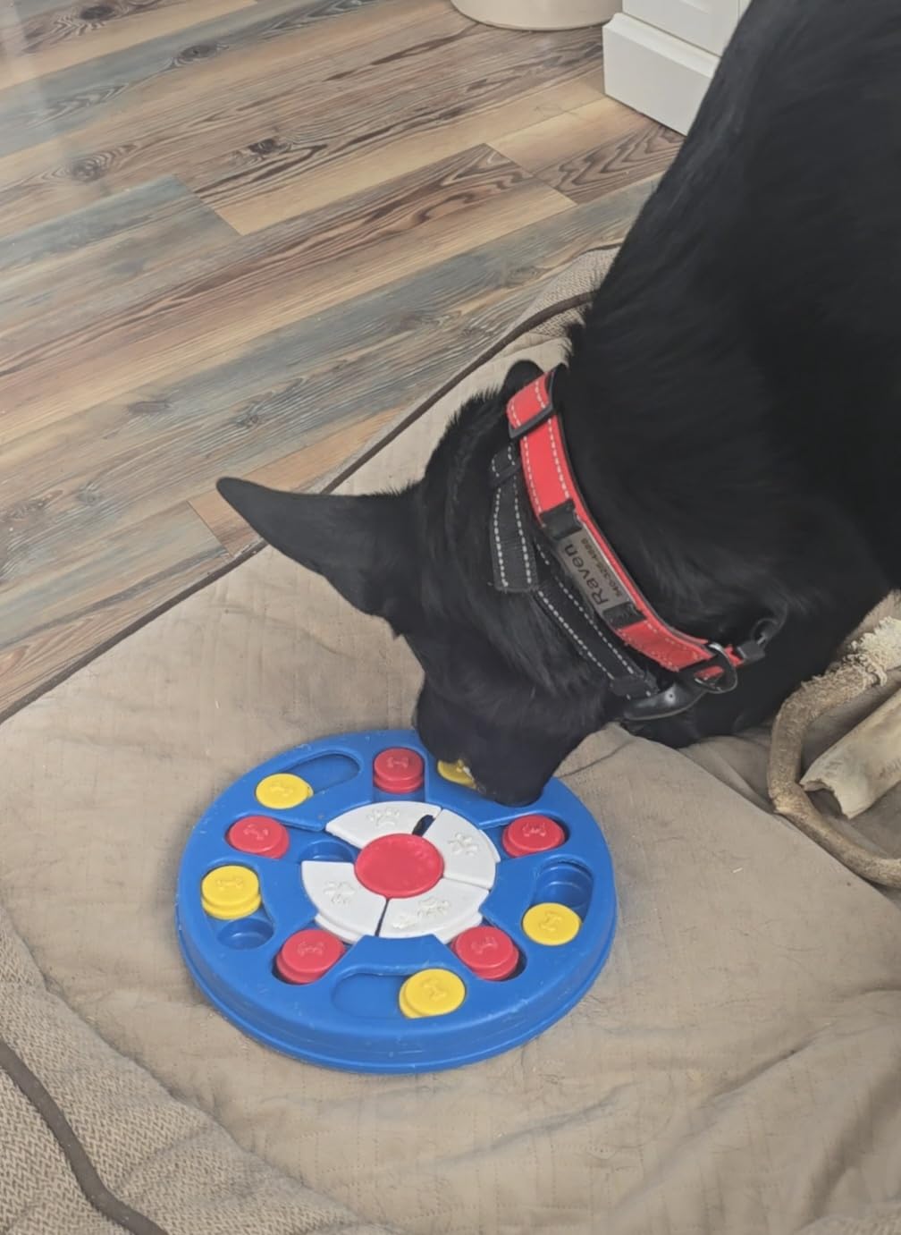 Dog Puzzle Toys, Interactive Dogs Game, Pets Enrichment Toys for Puppy Mentally Stimulating Feeding Dispenser Dog Treat Puzzle Feeder for Small, Medium and Large Dogs Brain Training customer photo 2