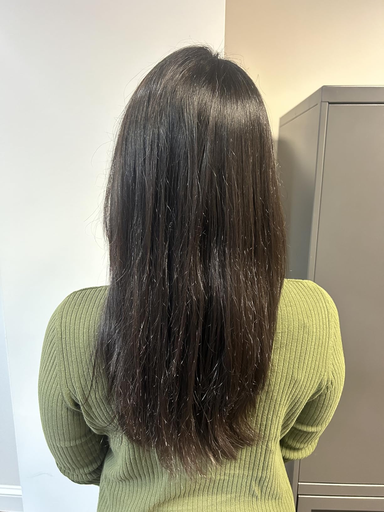 BEDELITE Satin Pillowcase for Hair and Skin, Super Soft and Cooling Similar to Silk Pillow Cases 2 Pack with Envelope Closure, Gift for Women Men(20