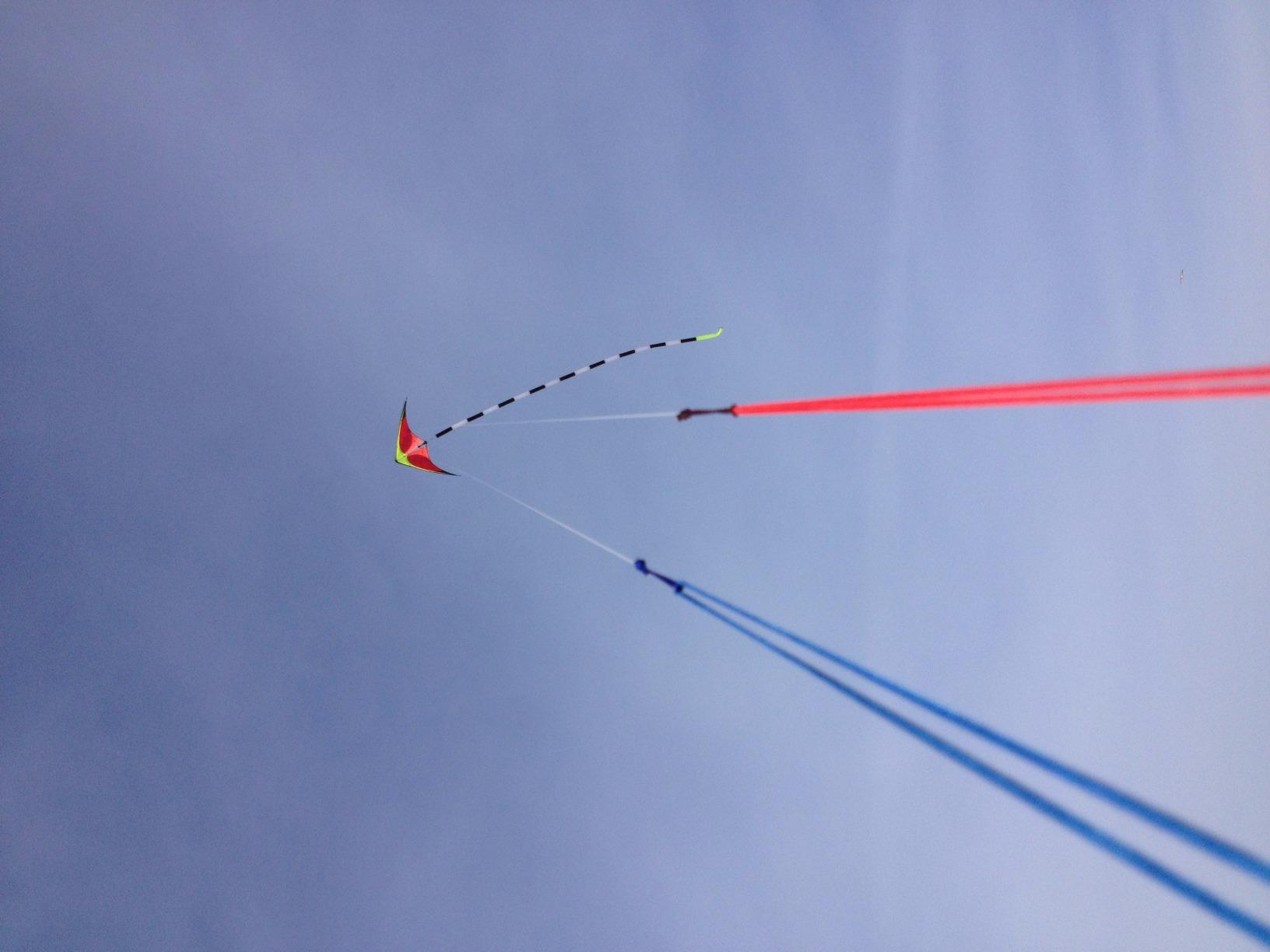 Prism Kite Technology Nexus 2.0 Dual-line Framed Stunt Kite customer photo 1