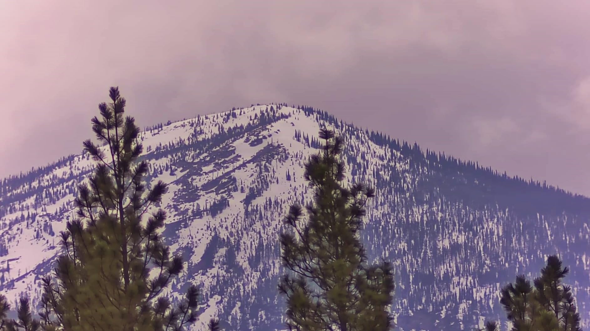 SVBONY SV165 Mini Guide Scope 30mm F4 Finder and Guide Scope for SV305C Pro, Compatible with Astronomy Telescope and ZWO QHY Orion Auto Guiding Cameras for Deep Sky Astrophotography customer photo 1