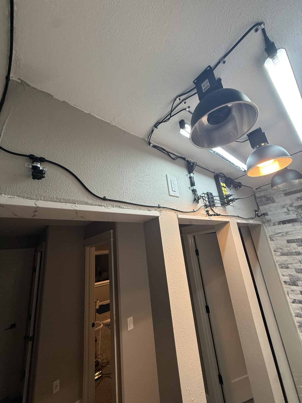 MistKing Ultimate Misting System, 5th Gen | Used by Zoos, Institutions & Hobbyists | Expandable to 20 Nozzles | Extremely Fine Mist | 50 Micron Droplets | Upgraded Timer & Components customer photo 1