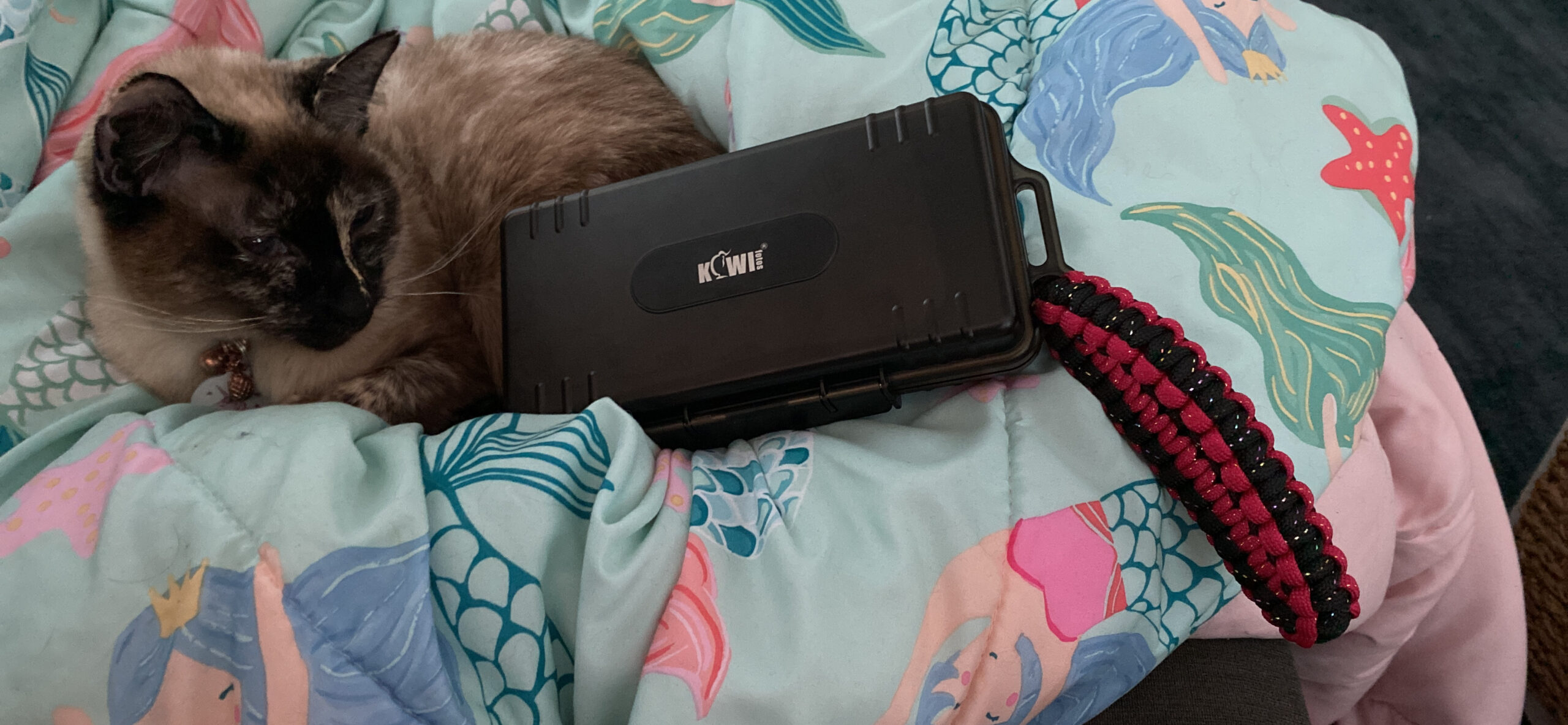 Kiwifotos 60 Slots SD Memory Card Case Holder for 60 SD/SDHC/SDXC Card/CFexpress Type A Card, Water-Resistant & Anti-Shock SD Card Organizer with Stackable Design customer photo 2