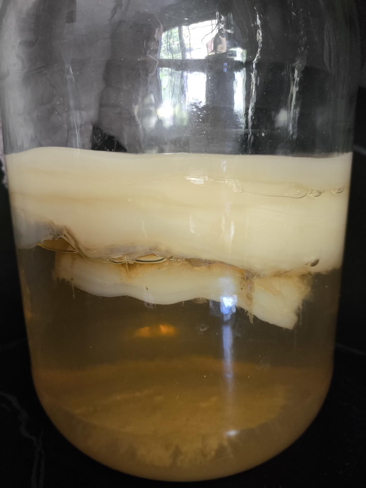 JILLMO Fermentation Jar, 1.5 Liter Glass Fermenting Jar with Fermenting Weights and Airlocks, Pack of 2 customer photo 1