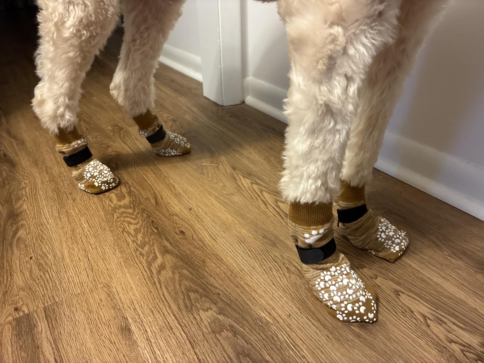 EXPAWLORER Anti Slip Dog Socks to Prevent Licking Paws, Dog Shoes for Hot Pavement, Dog Booties for Small Medium Large Senior Dogs, Traction Control Boots & Paw Protectors for Hardwood Floors customer photo 2