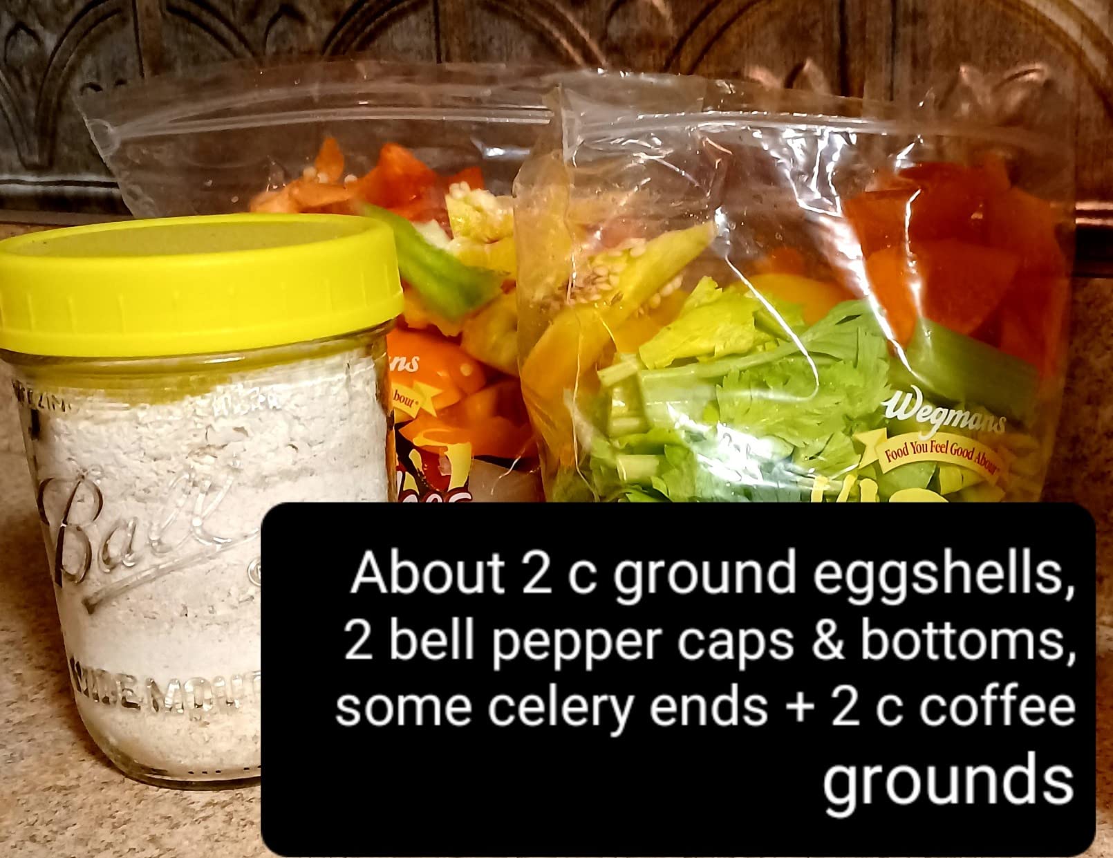 Vitamix FC-50 - Convenient Home Food Processor and Recycler - Kitchen Countertop Compost Bin Alternative - Electric Waste Disposer - Odorless Garbage Disposal - 2.5L Capacity customer photo 2