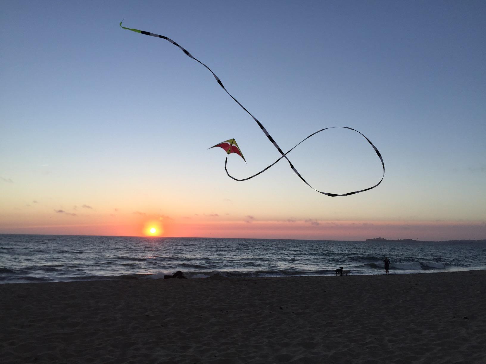 Prism Designs Kite Quantum Dual-line Stunt Sporting goods customer photo 1