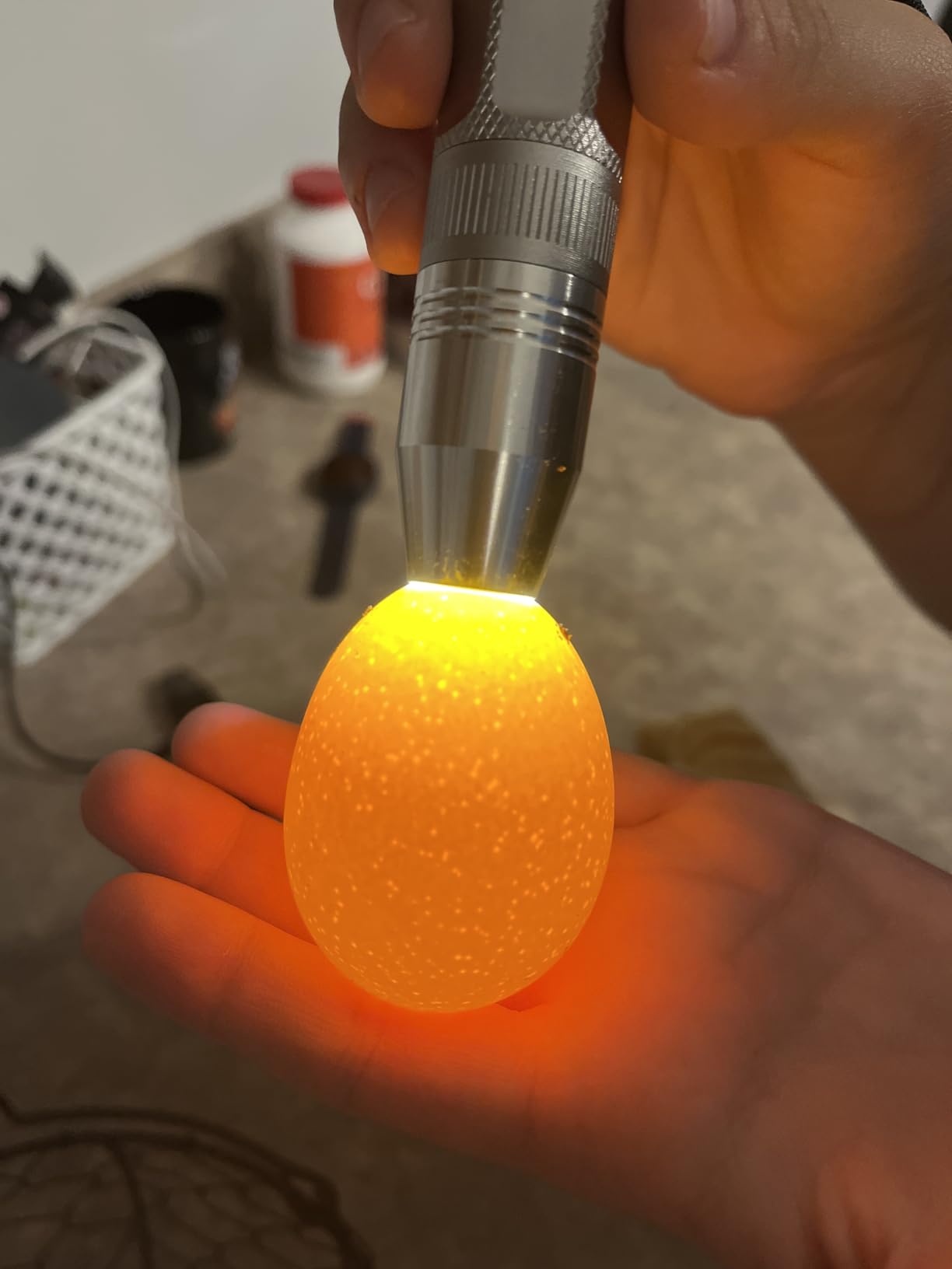 Egg Candler Light Tester Egg Candler Tester Candling Lamp for All Egg Typy customer photo 1