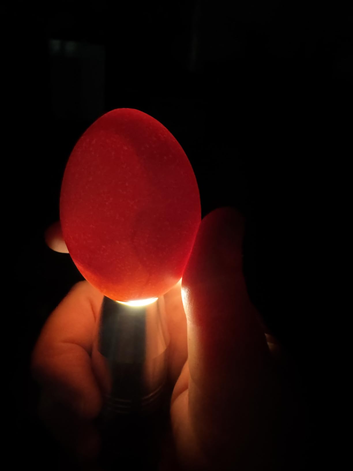 Egg Candler Light Tester Egg Candler Tester Candling Lamp for All Egg Typy customer photo 2