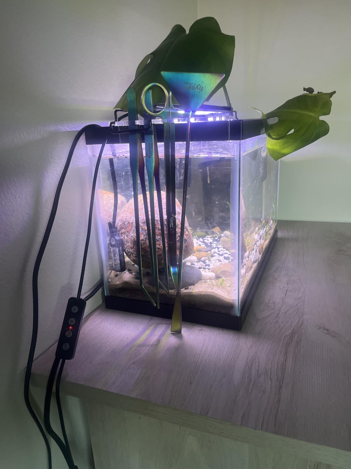 hygger Long Stainless Steel Premium Aquarium Tools, 4 PCS Aquatic Plant Tweezers Scissors Spatula Kits Comes with 1 Cleaning Cloth, for Fish Tank Starters customer photo 2