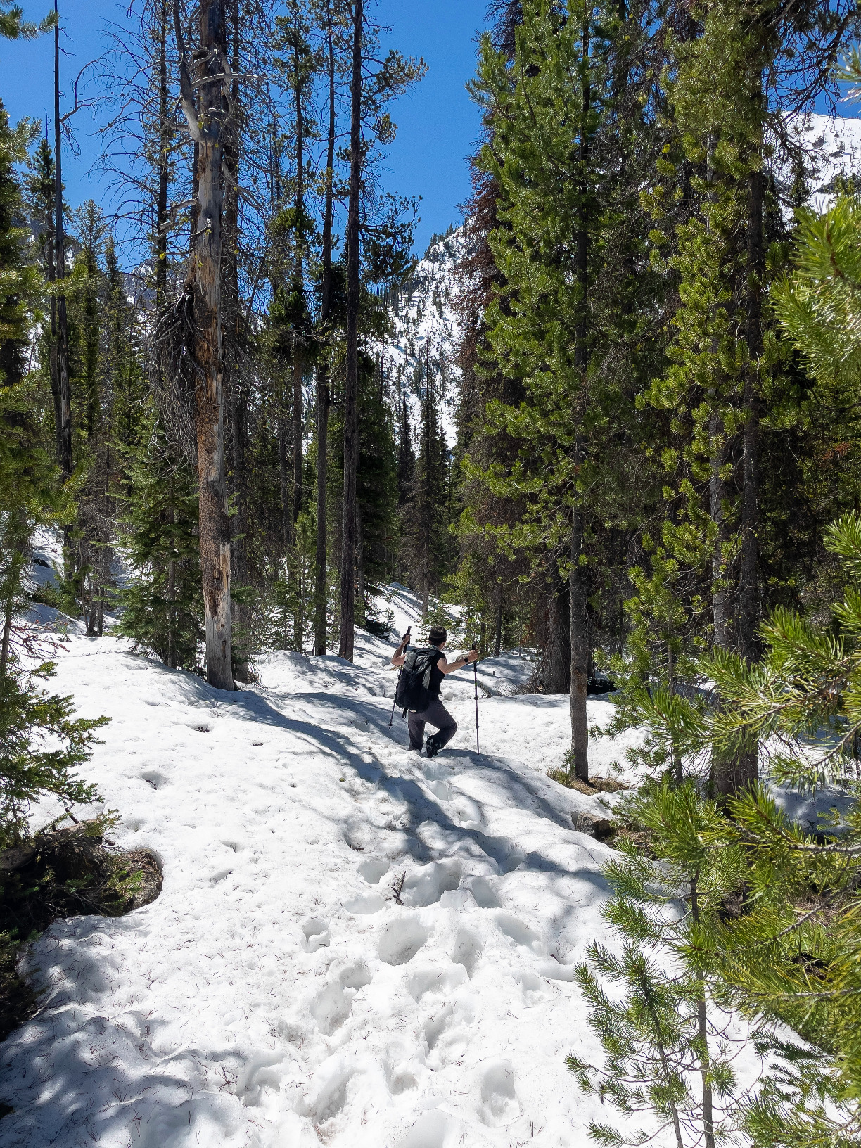 Black Diamond Distance Spike Traction Device | Stainless Steel Spikes | Hybrid Softshell Design | Reliable Grip for Running & Hiking on Ice customer photo 2