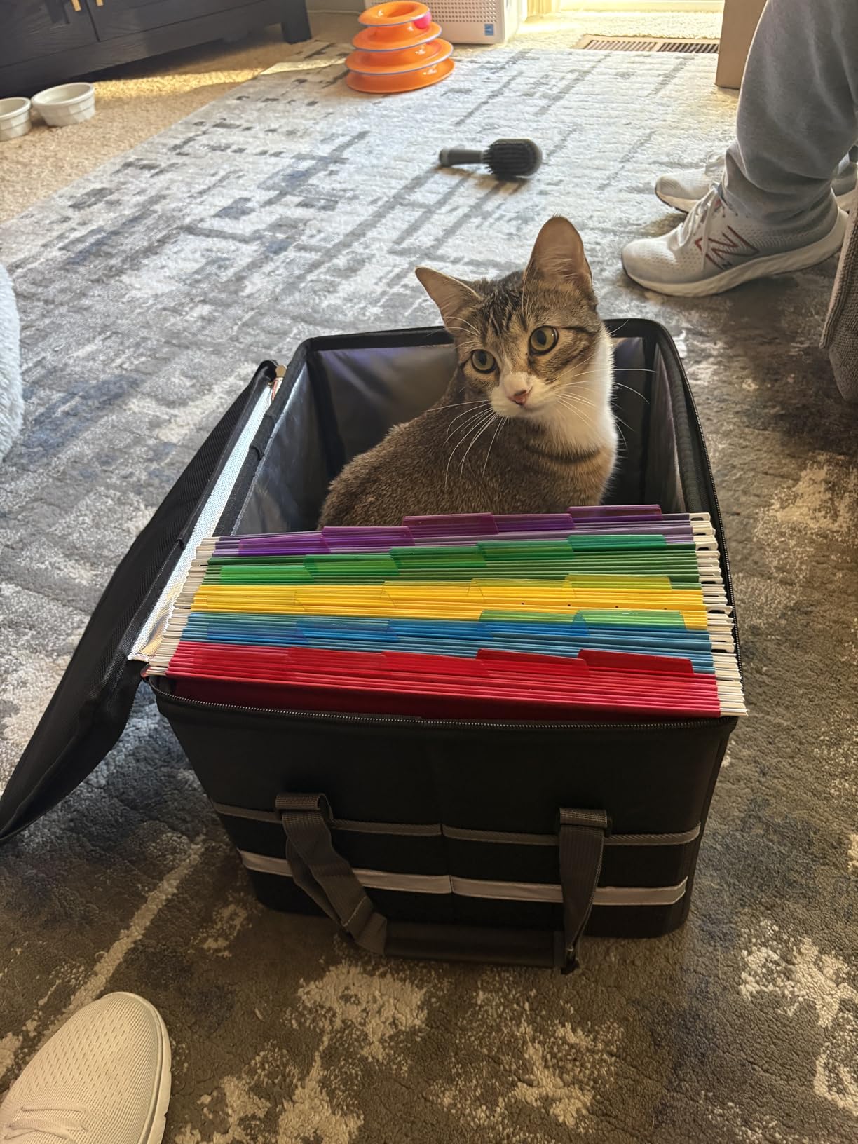 ENGPOW File Box with Lock,Fireproof Document Box with Zipper＆Pockets,Collapsible File Organizer Filing Storage Cabinet with Handle,Portable Home Office Safe for Hanging Letter/Legal Folder,Black customer photo 1