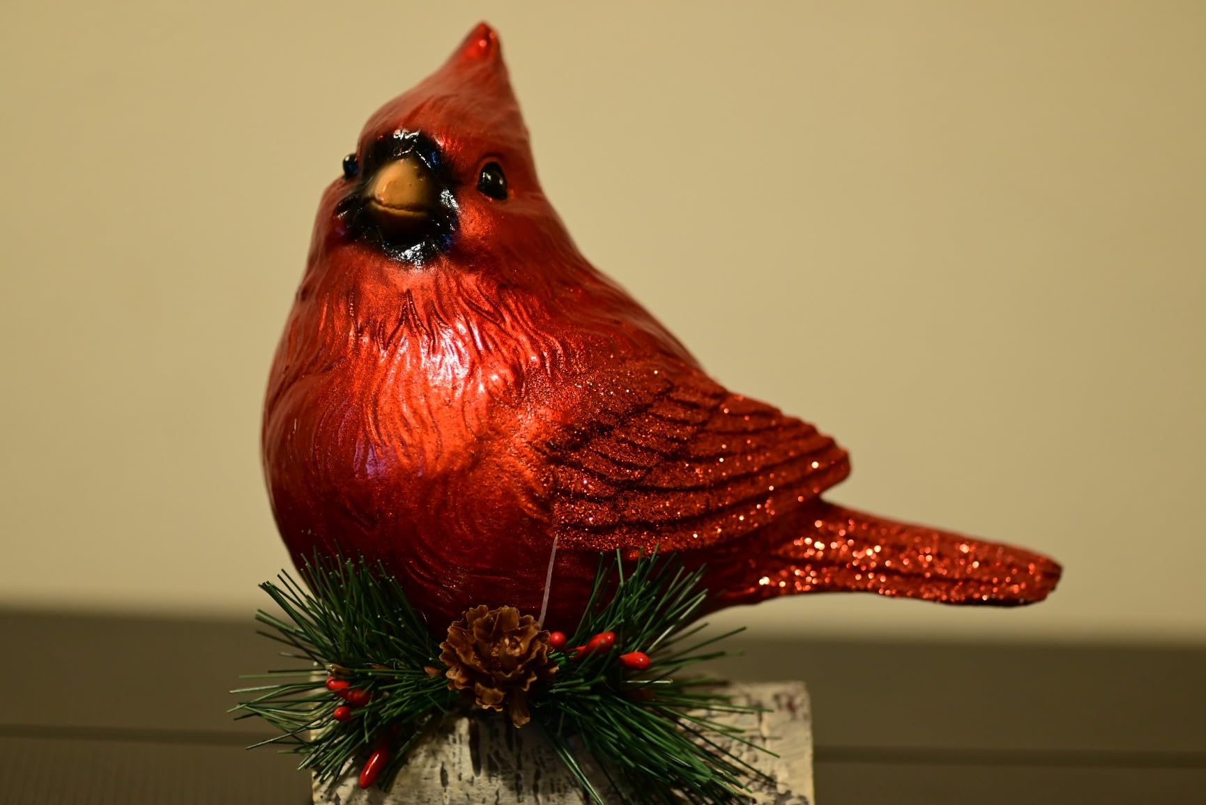 Nikon Z5 | Our most compact full-frame mirrorless stills/video camera | Nikon USA Model customer photo 1