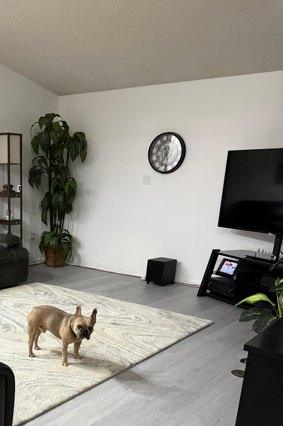 EVEO Cable Management Under Desk Kit (6 Units) - Under Desk Cable Management Cord Hider, Cable Hider Cord Management, Cable Organizer, Cable Raceway | Self-Adhesive 96'' J Channel 6X16 - Black customer photo 1