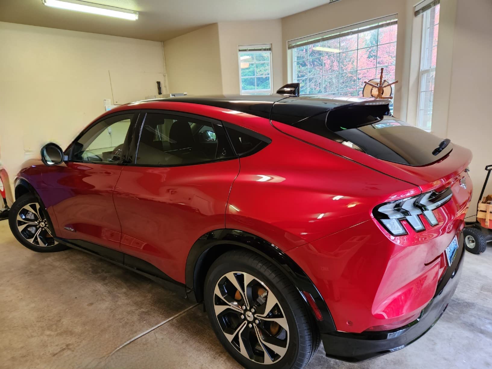 Adam's Polishes UV Graphene Ceramic Coating - 10H Ceramic Coating for Cars W/UV Glow Technology | 7+ Years of Protection | Apply After Car Wash Clay Bar Car Buffer Polisher | Boat RV Motorcycle customer photo 1