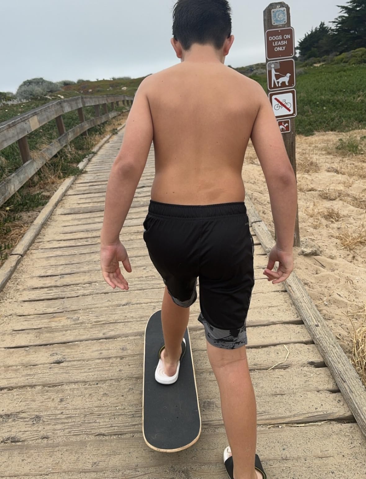 SANTA CRUZ 8.00'' x 31.25'' Skateboard Complete - Classic Dot Full customer photo 2