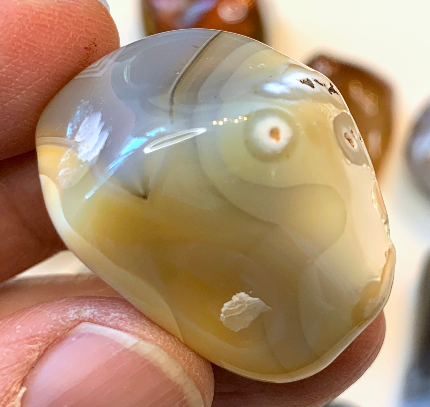 National Geographic Rock Tumbler Kit - 3 Lb. Extra Large Capacity Barrel with 3-Speed Motor & 9-Day Timer, Kit Includes Rocks for Tumbling and Rock Polisher Grit customer photo 1