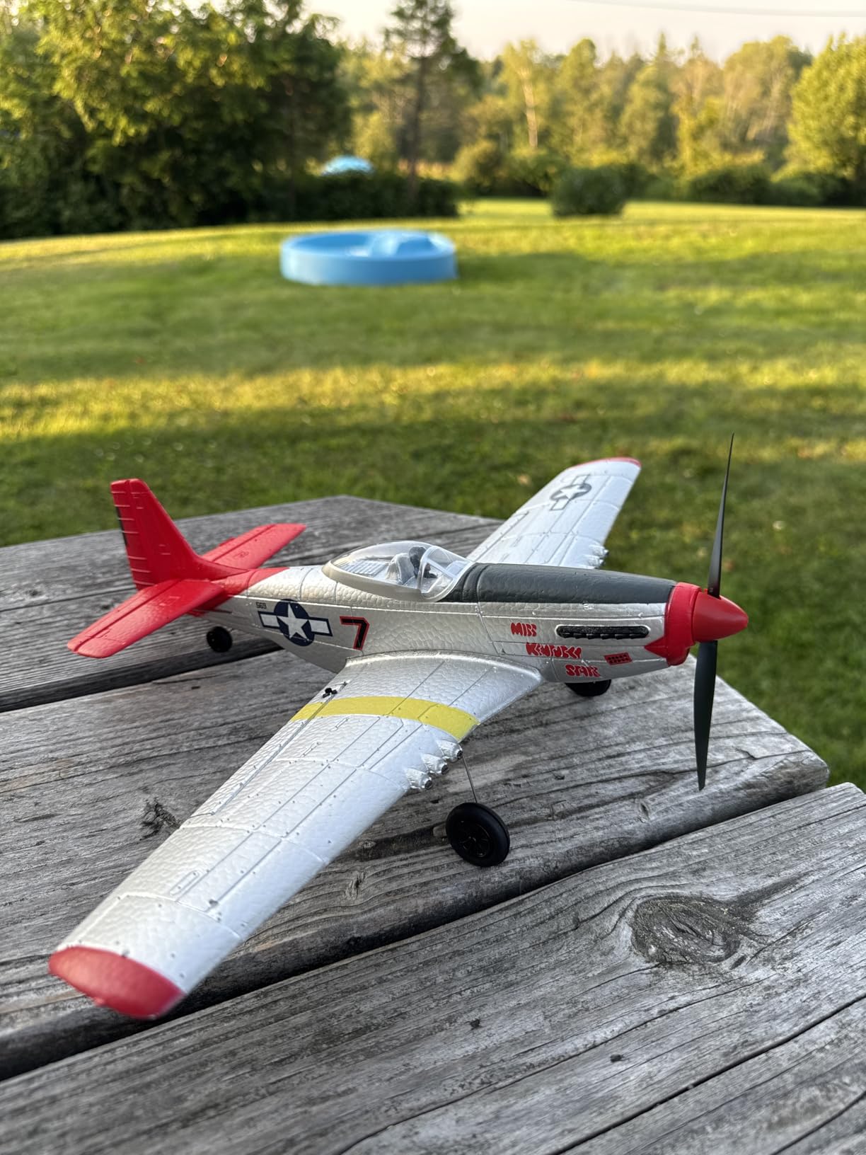 LEAMBE 4 Channel RC Plane, Ready to Fly Aerobatic Aircraft, Easy Control for Beginners, P51 Mustang RC Airplane Best Gift for Adults customer photo 2