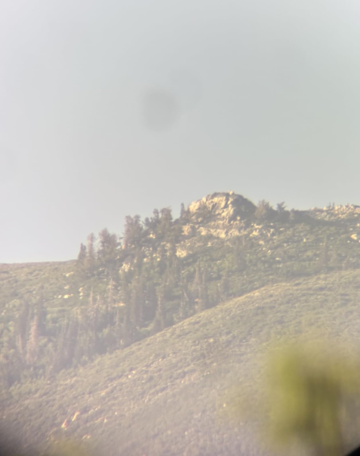 Vortex Optics Diamondback HD Spotting Scopes customer photo 1