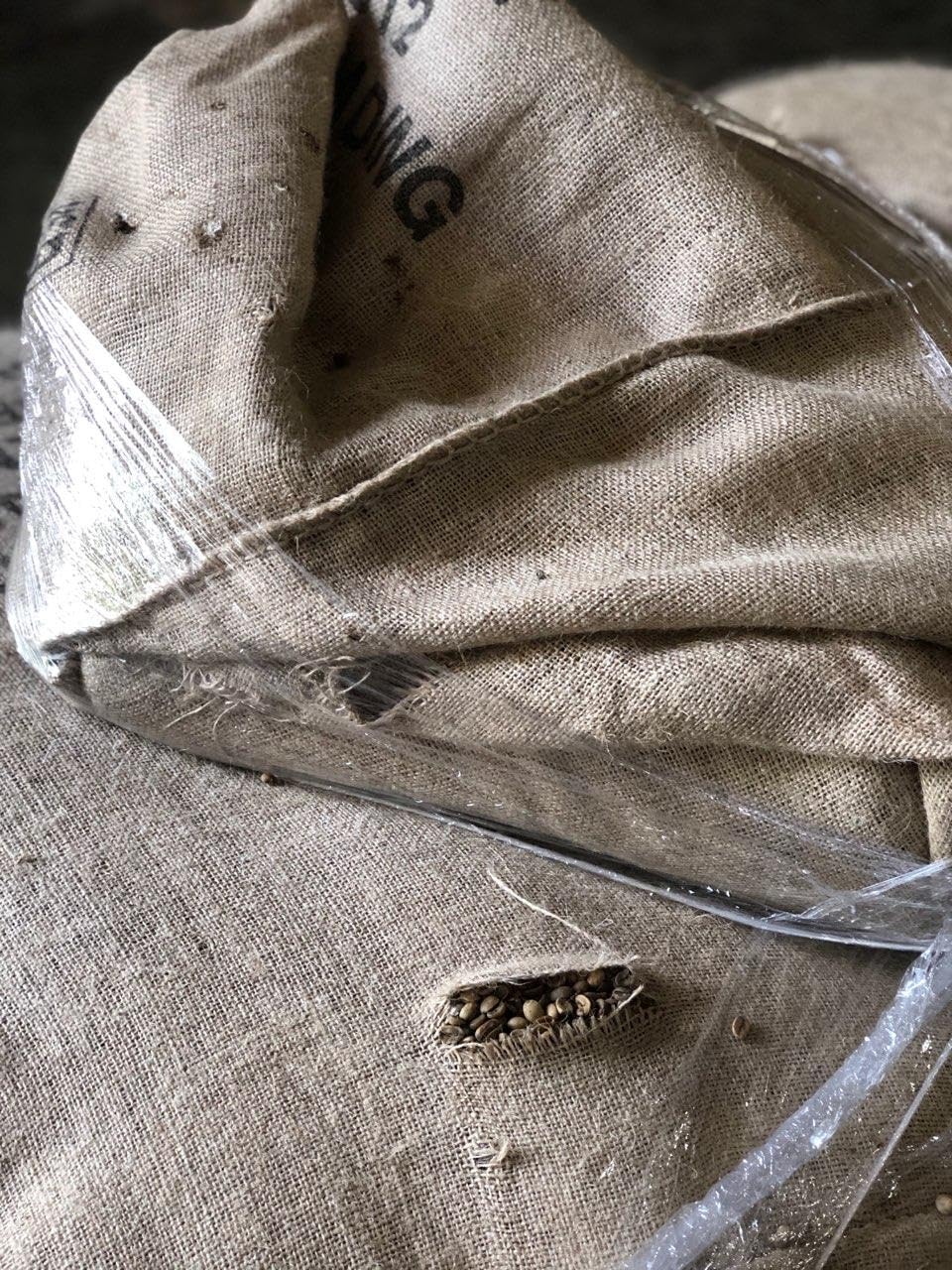 Timber Ridge Outdoor Collapsible Wagon with Brakes Utility Folding Cart Heavy Duty All Terrain Wheels for Shopping Camping Garden with Side Bag and Cup Holders, Blue customer photo 1