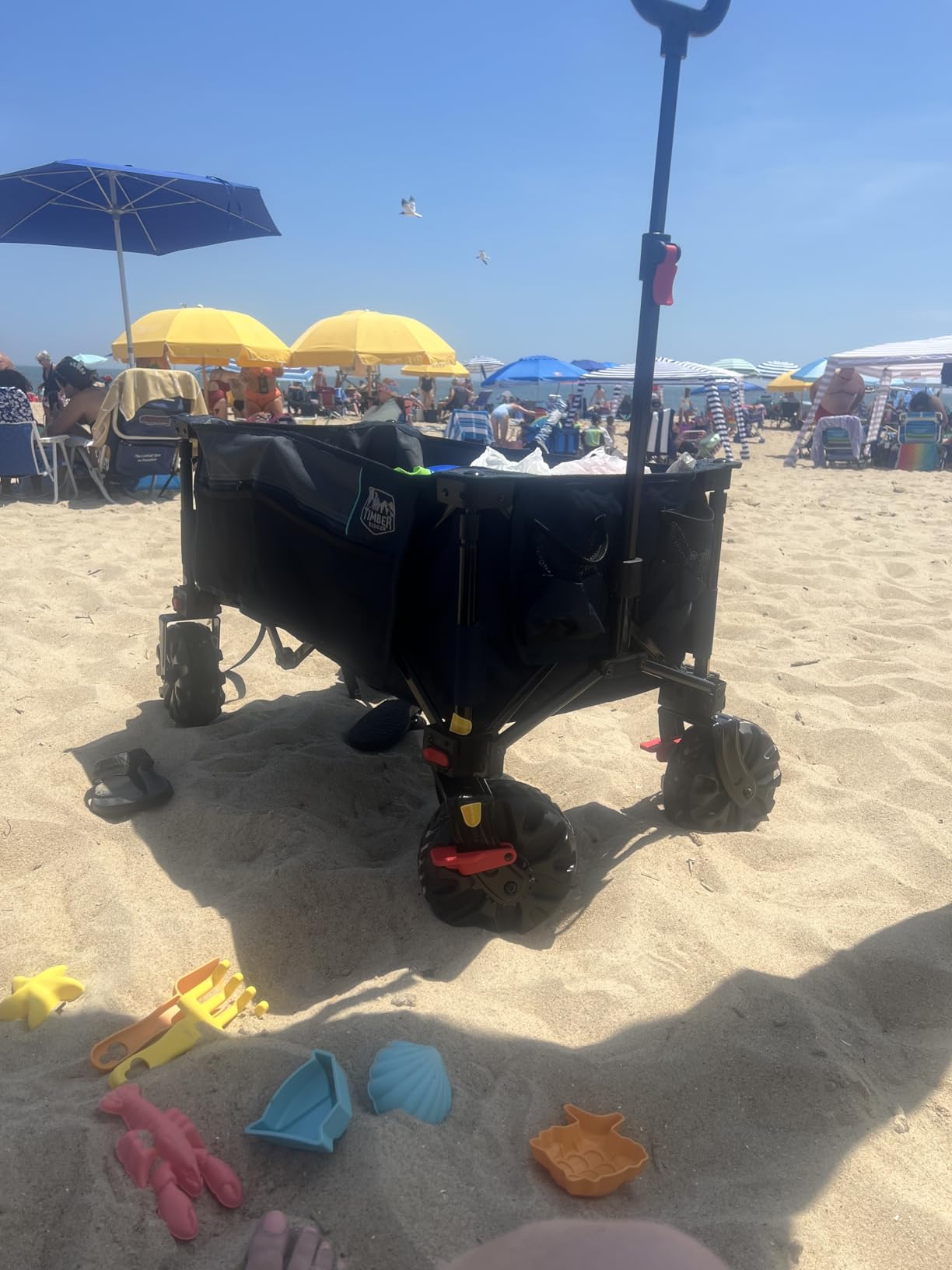 Timber Ridge Outdoor Collapsible Wagon with Brakes Utility Folding Cart Heavy Duty All Terrain Wheels for Shopping Camping Garden with Side Bag and Cup Holders, Blue customer photo 2