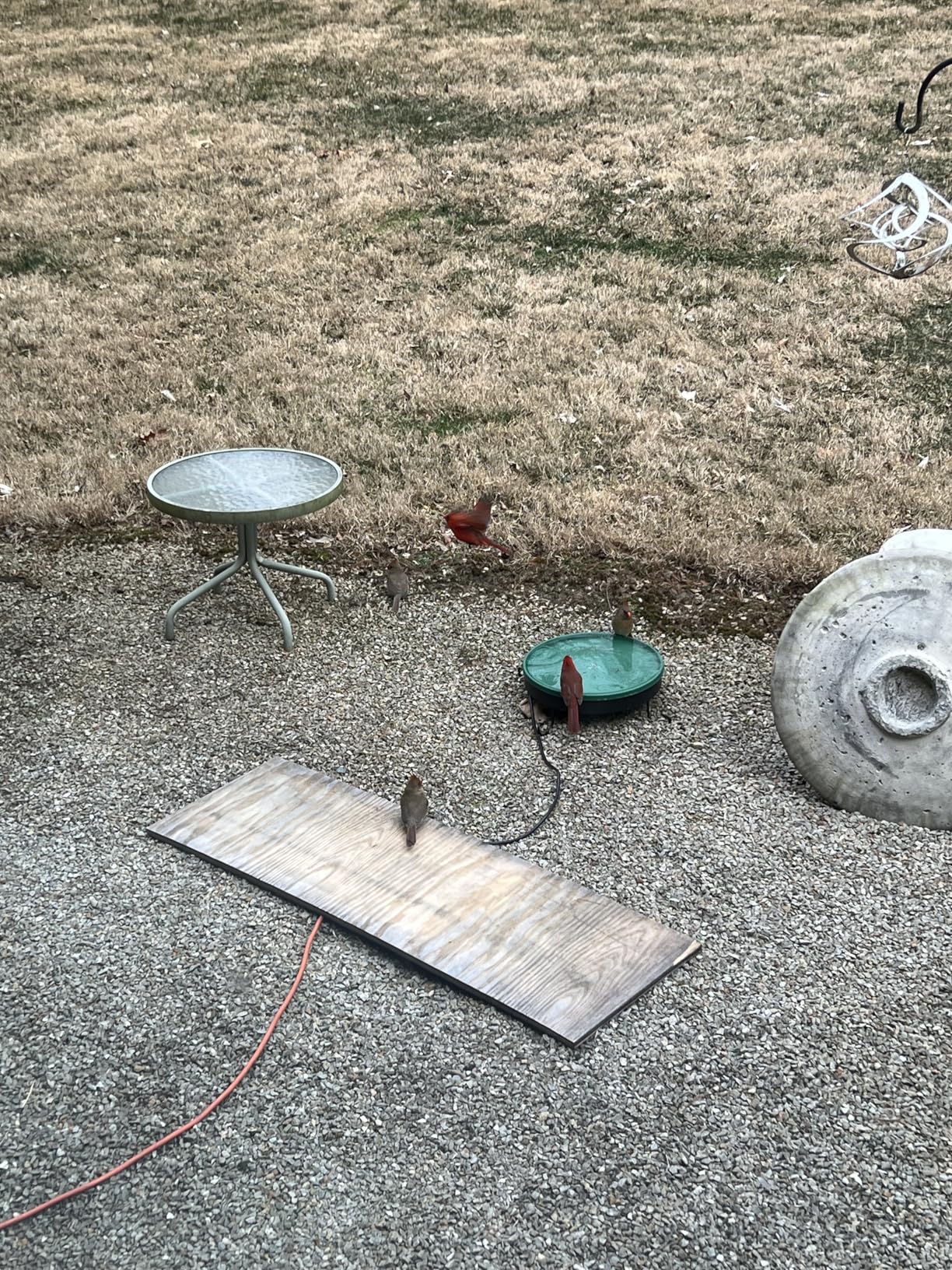 Heated Bird Bath, 3 Easy Ways to Mount Heavy Duty Metal Pedestal Detachable Bird Bath Bowl for Easy Cleaning, 75W Heated Bird Baths for Outdoors for Winter Garden Yard Patio Lawn, Green customer photo 1