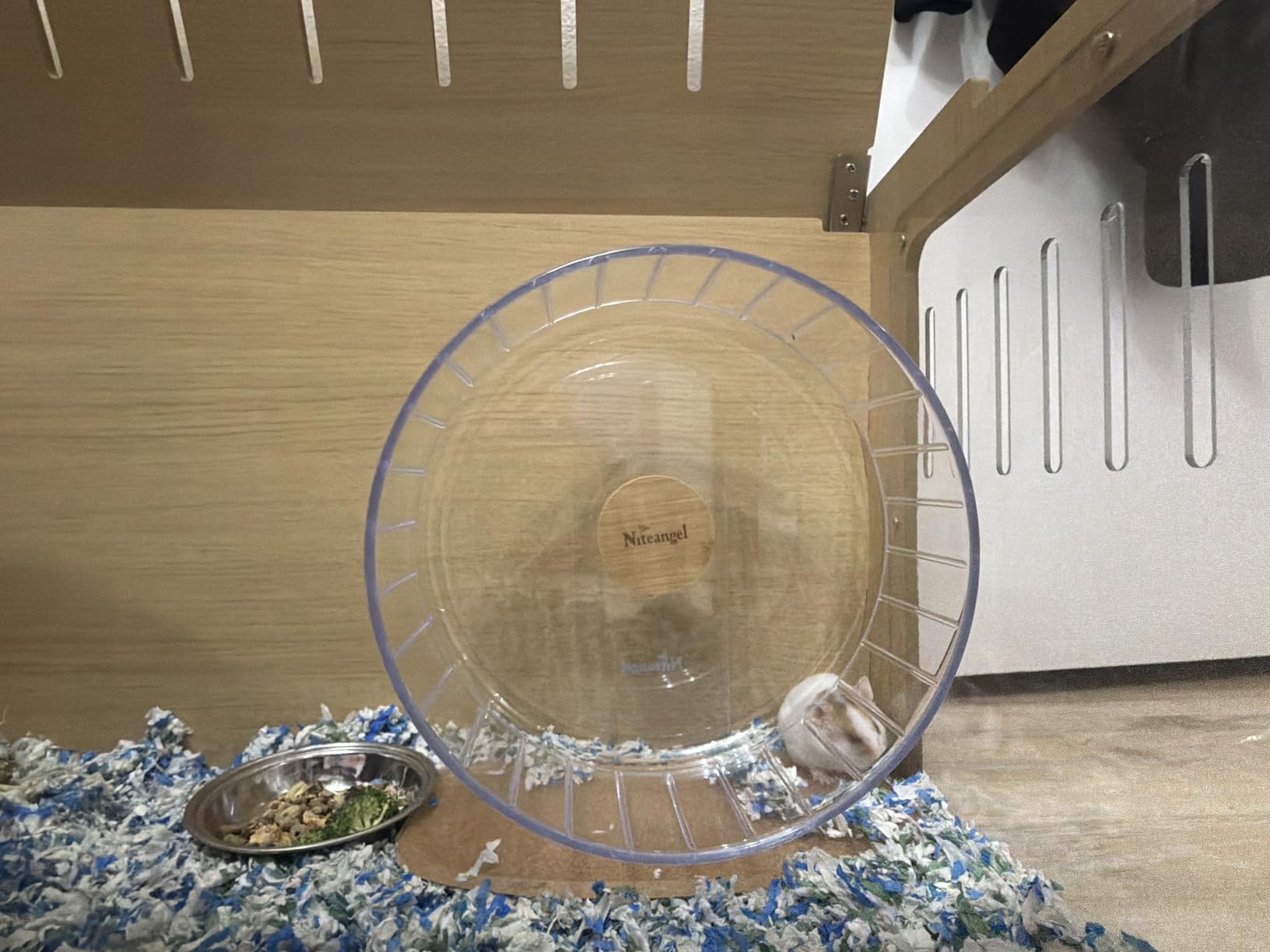 Niteangel Super-Silent Hamster Exercise Wheels - Quiet Spinner Hamster Running Wheels with Adjustable Stand for Hedgehog Gerbils Mice or Other Small Animals (S, White) customer photo 1