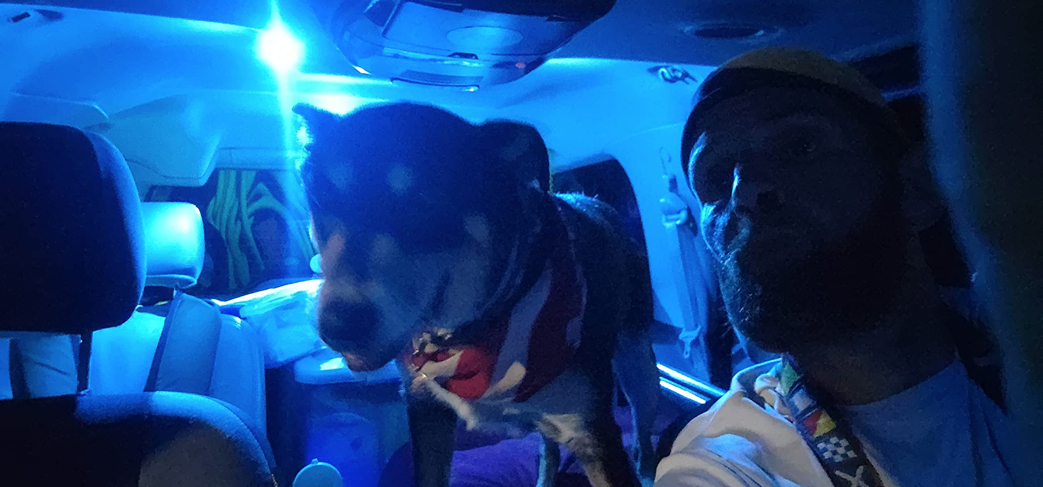 Skar Audio Single 12