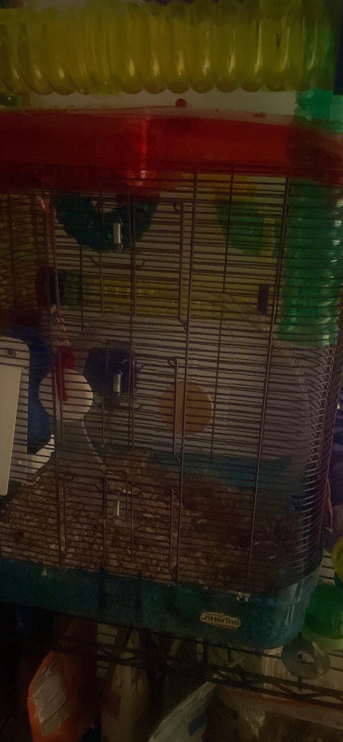 Niteangel Silent Hamster Exercise Wheel: - Dual-Bearing Quiet Spinning Acrylic Hamster Running Wheel for Dwarf Hamster Gerbils Mice Degus Or Other Small Animals (S) customer photo 1