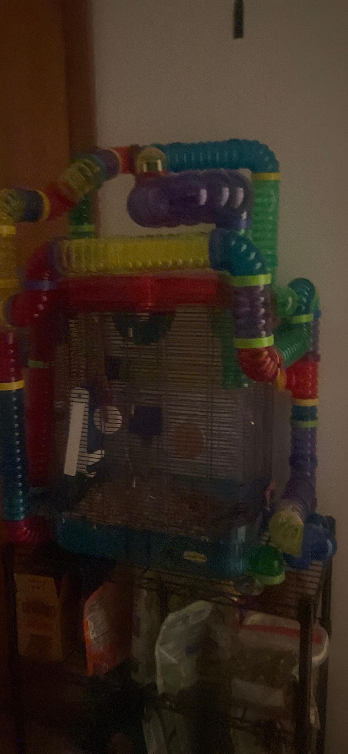 Niteangel Silent Hamster Exercise Wheel: - Dual-Bearing Quiet Spinning Acrylic Hamster Running Wheel for Dwarf Hamster Gerbils Mice Degus Or Other Small Animals (S) customer photo 2