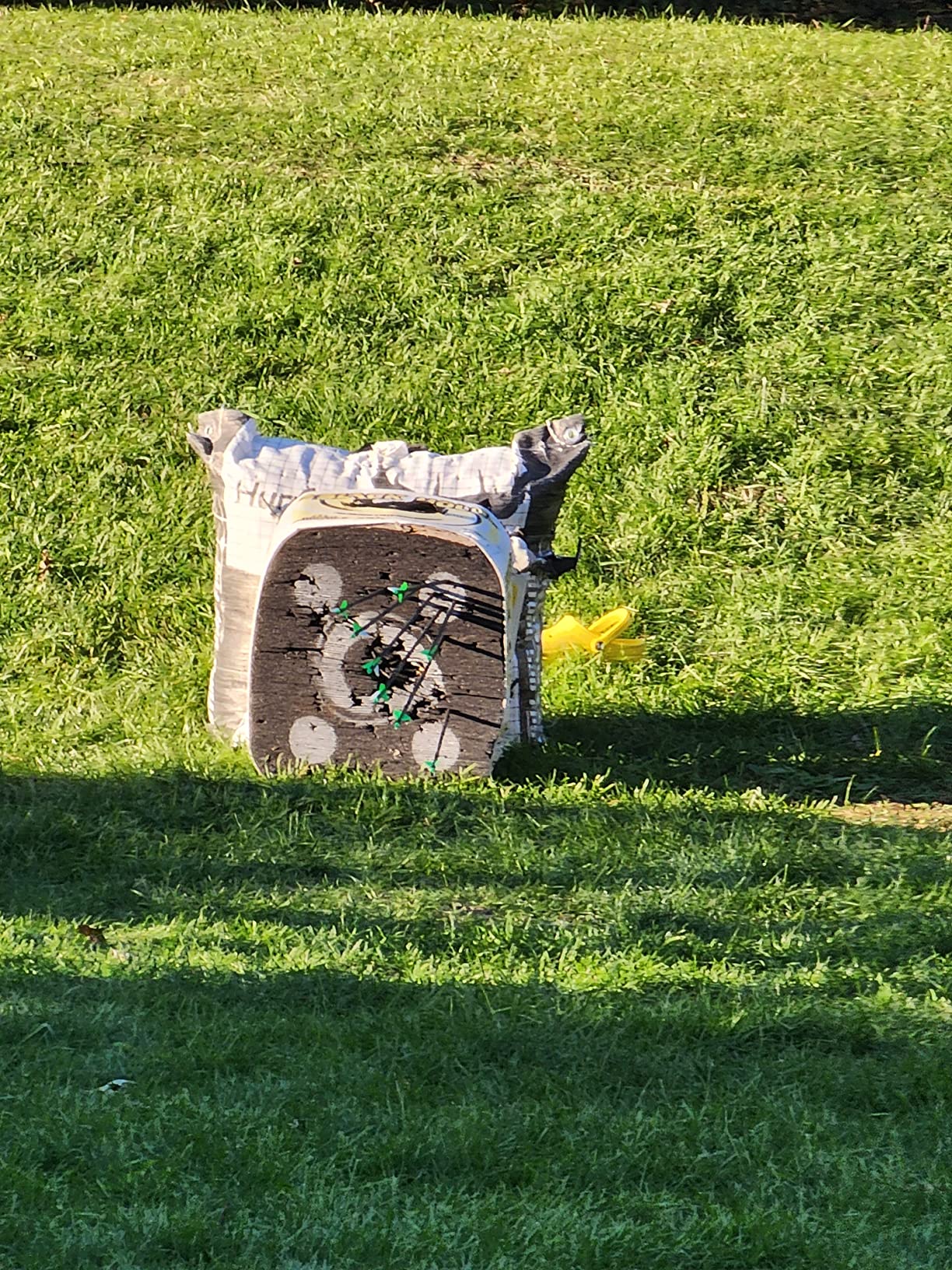 29 Inch Carbon Arrow Practice Hunting Arrows Spine 400 with Removable Tips for Archery Compound & Recurve & Traditional Bow (12 Pcs) customer photo 2