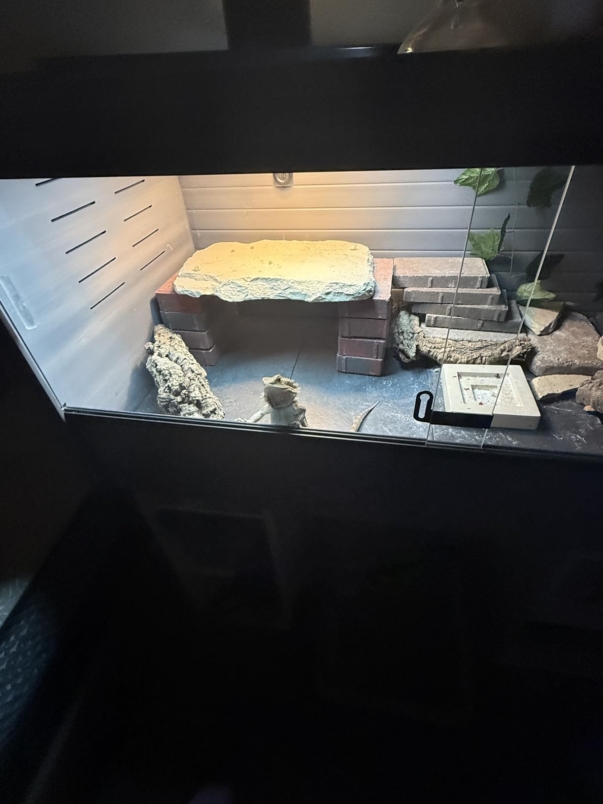 REPTI ZOO T5 HO UVB Lighting Combo Kit, Terrarium Hood Comes with Desert 10.0 UVB T5 Lamp (24W) customer photo 2