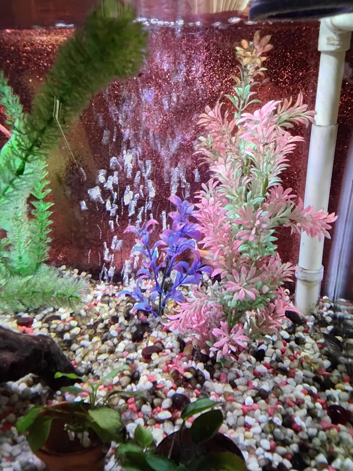 HITOP 4W 110GPH Powerful Aquarium Air Pump, Quiet 2-outlets Aquarium Aerator, Adjustable Fish Tank Air Pump with Accessories, for 20-200 Gallon Tank, with ON/Off Button customer photo 2