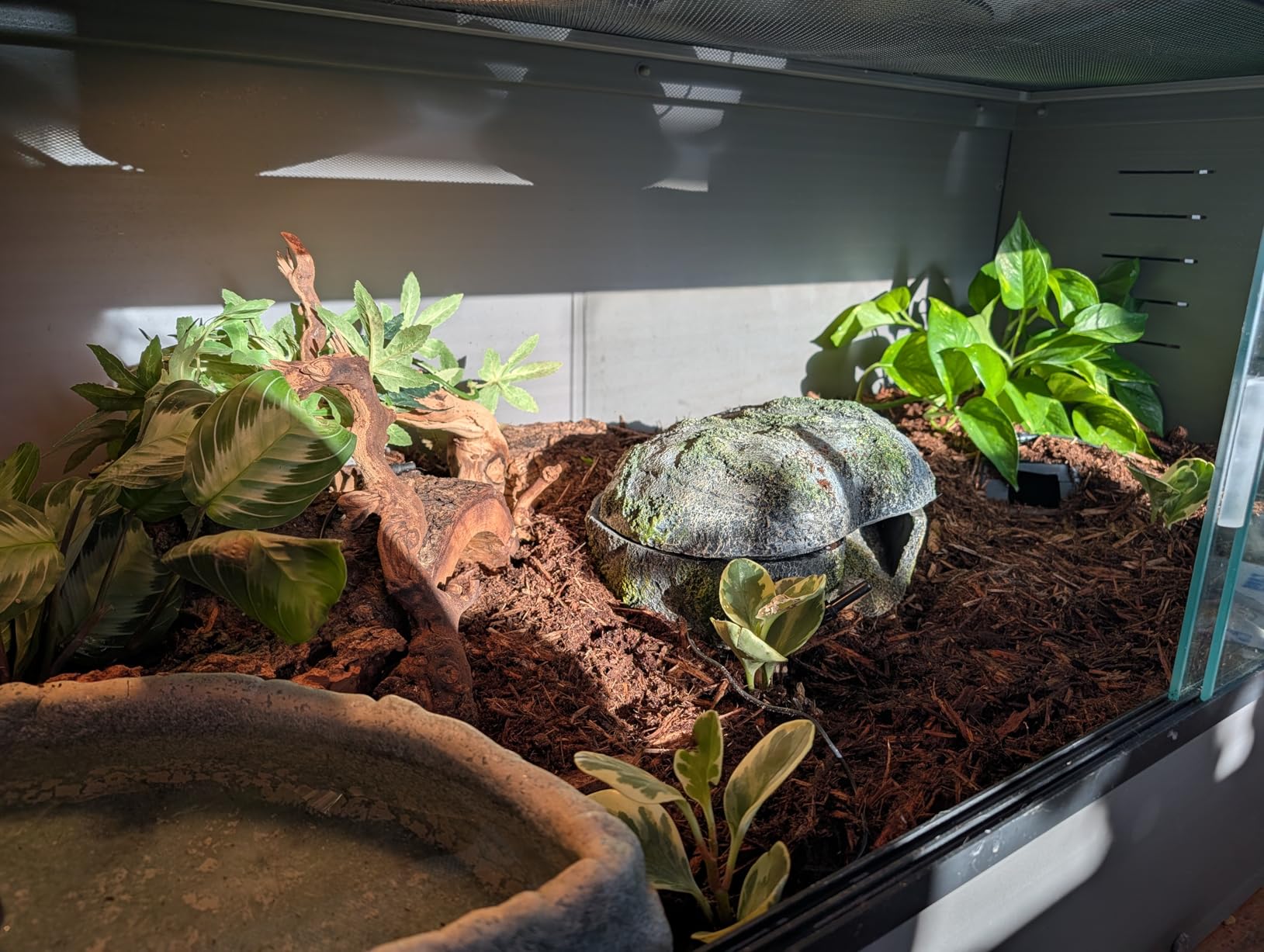 New Age Pet ECOFLEX Small 24