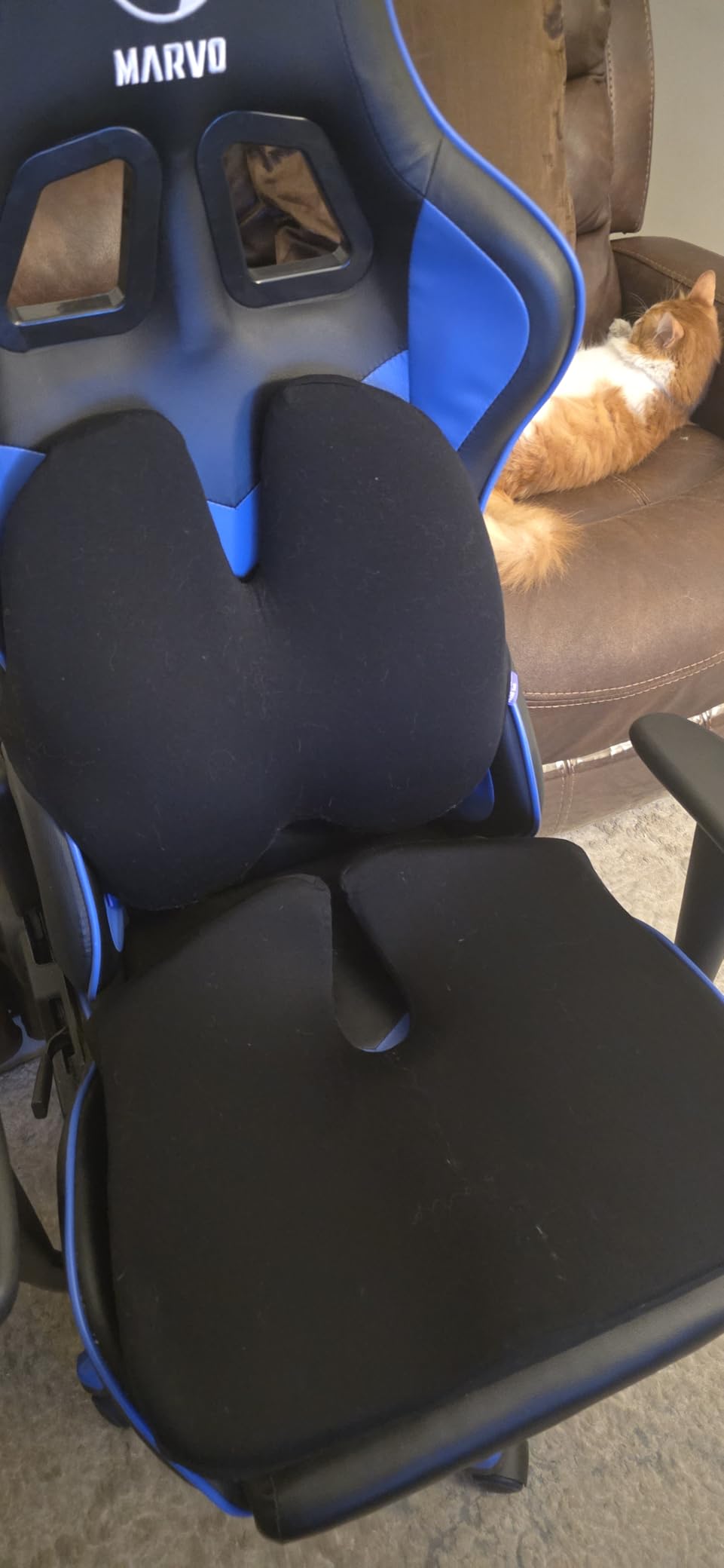 C CUSHION LAB Extra Dense Lumbar Pillow - Patented Ergonomic Multi-Region Firm Back Support for Lower Back Pain Relief - Lumbar Support Cushion with Strap for Office Chair, Car, Sofa, Plane - Black customer photo 2