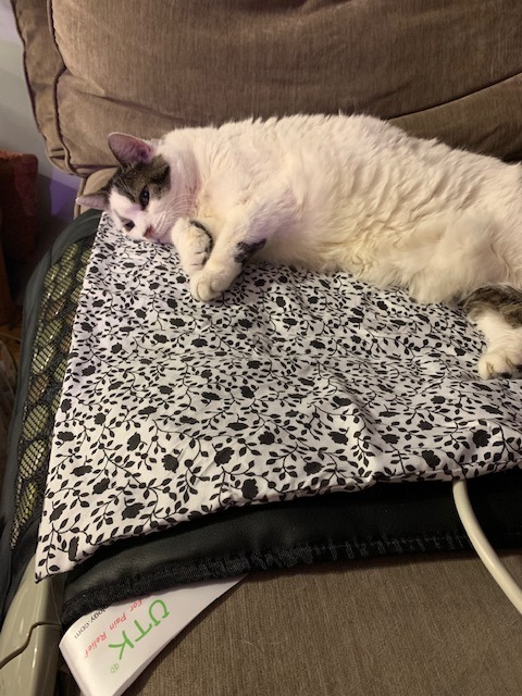 UTK 70'' x 24'' Full Body Quantum Wave Far Infrared Heating pad, 5X Pain Relief, FSA-HSA Eligible Weighted Mat with Magnets Stone, Jade & Tourmaline, Hotter to 159F, 4H Auto-Off, Gift for Women Men customer photo 2