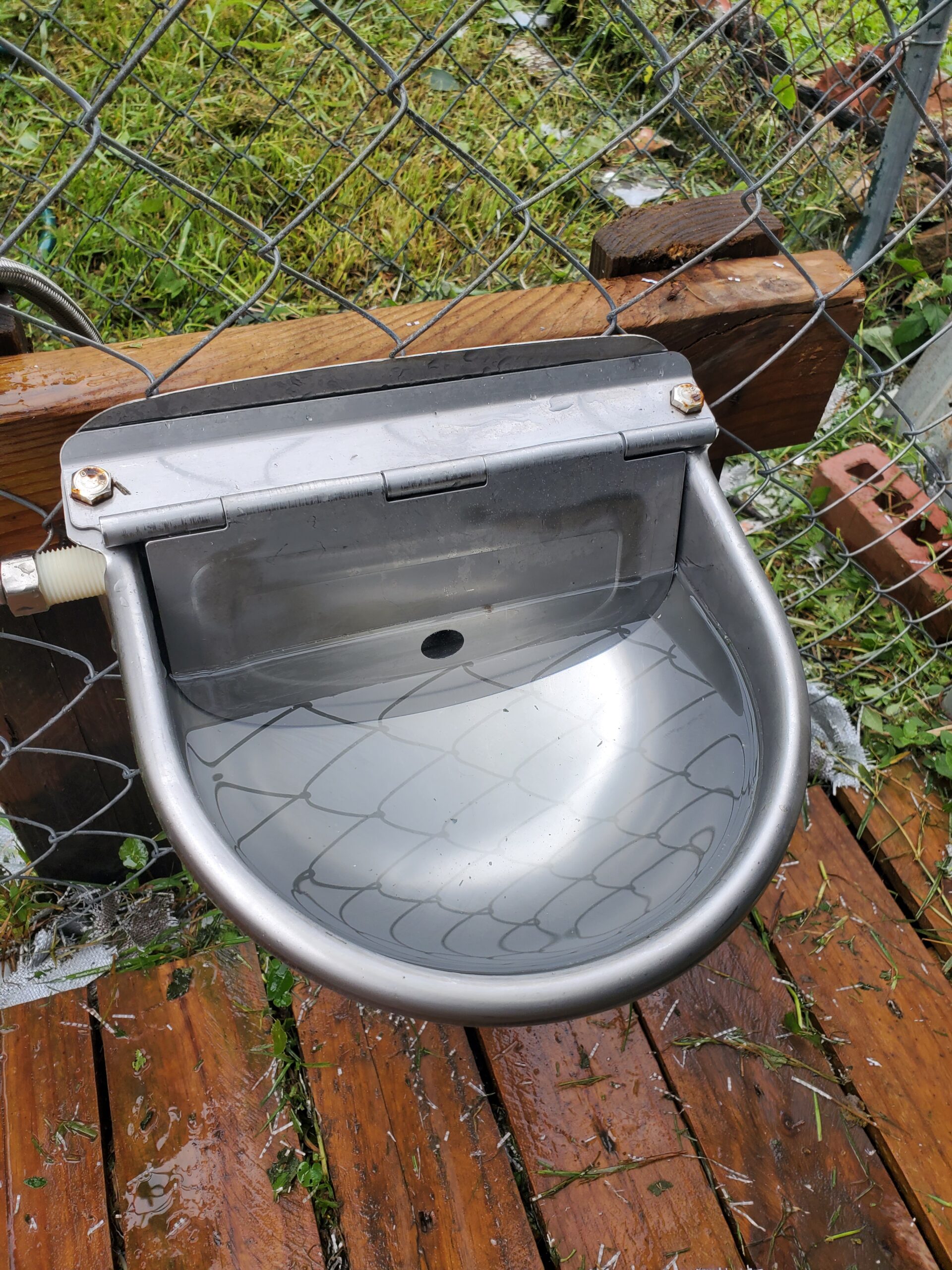 304 Stainless Steel Automatic Livestock Waterer with Float Valve and 39 inch Water Hose(one end 3/4''), Automatic Animal Water Bowl for Dogs,Horse,Calf,Chicken,Goat, Livestock Horse Waterer Dispenser customer photo 1