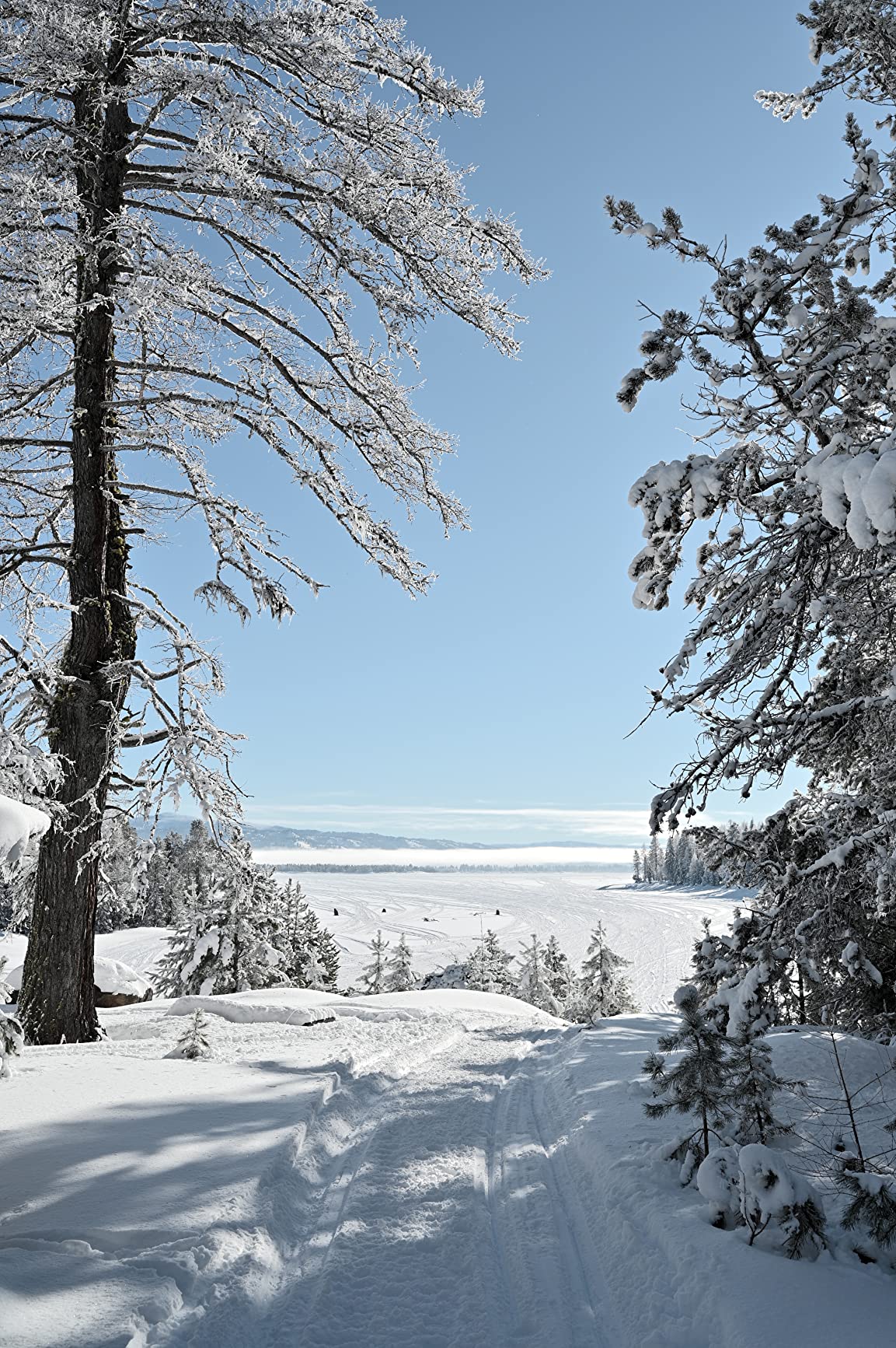 Nikon Z6II | Versatile full-frame mirrorless stills/video hybrid camera | Nikon USA Model customer photo 2