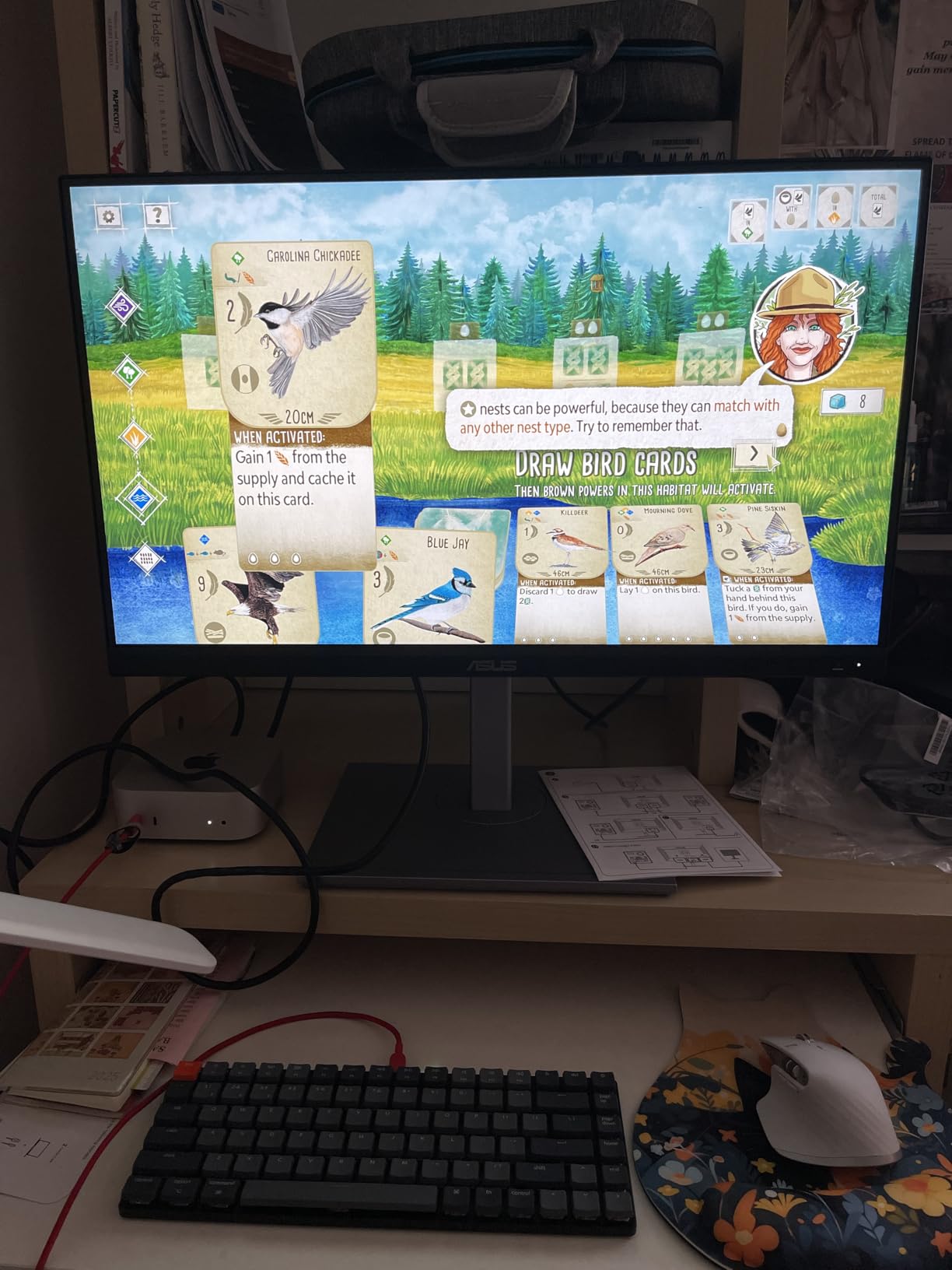 ASUS ProArt Display 27