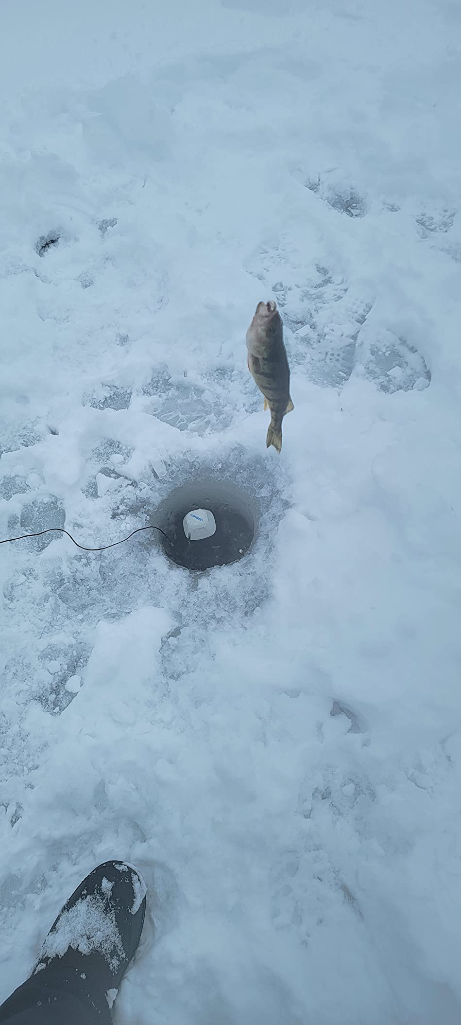 Garmin Striker Cast, Castable Sonar, Pair with Mobile Device and Cast from Anywhere, Reel in to Locate and Display Fish on Smartphone or Tablet (010-02246-00) customer photo 2