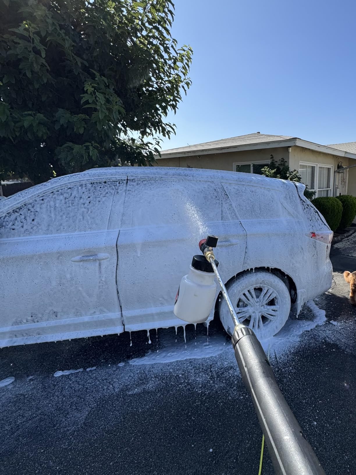Adam's Polishes Premium Foam Cannon - Soap Sprayer for Car Wash, Sprayer Cannister for Pressure Washer, 1/4