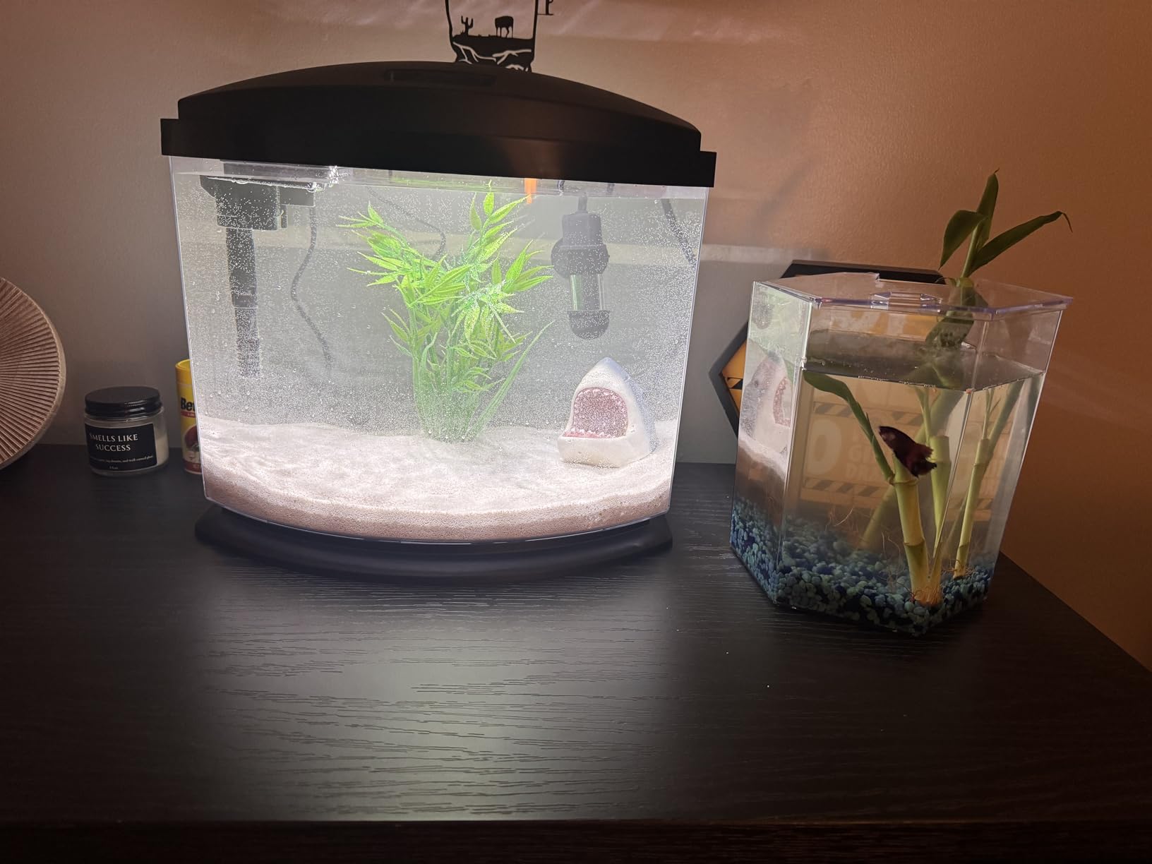 Aqueon LED MiniBow Small Aquarium Fish Tank Kit with SmartClean Technology, Black, 2.5 Gallon customer photo 1